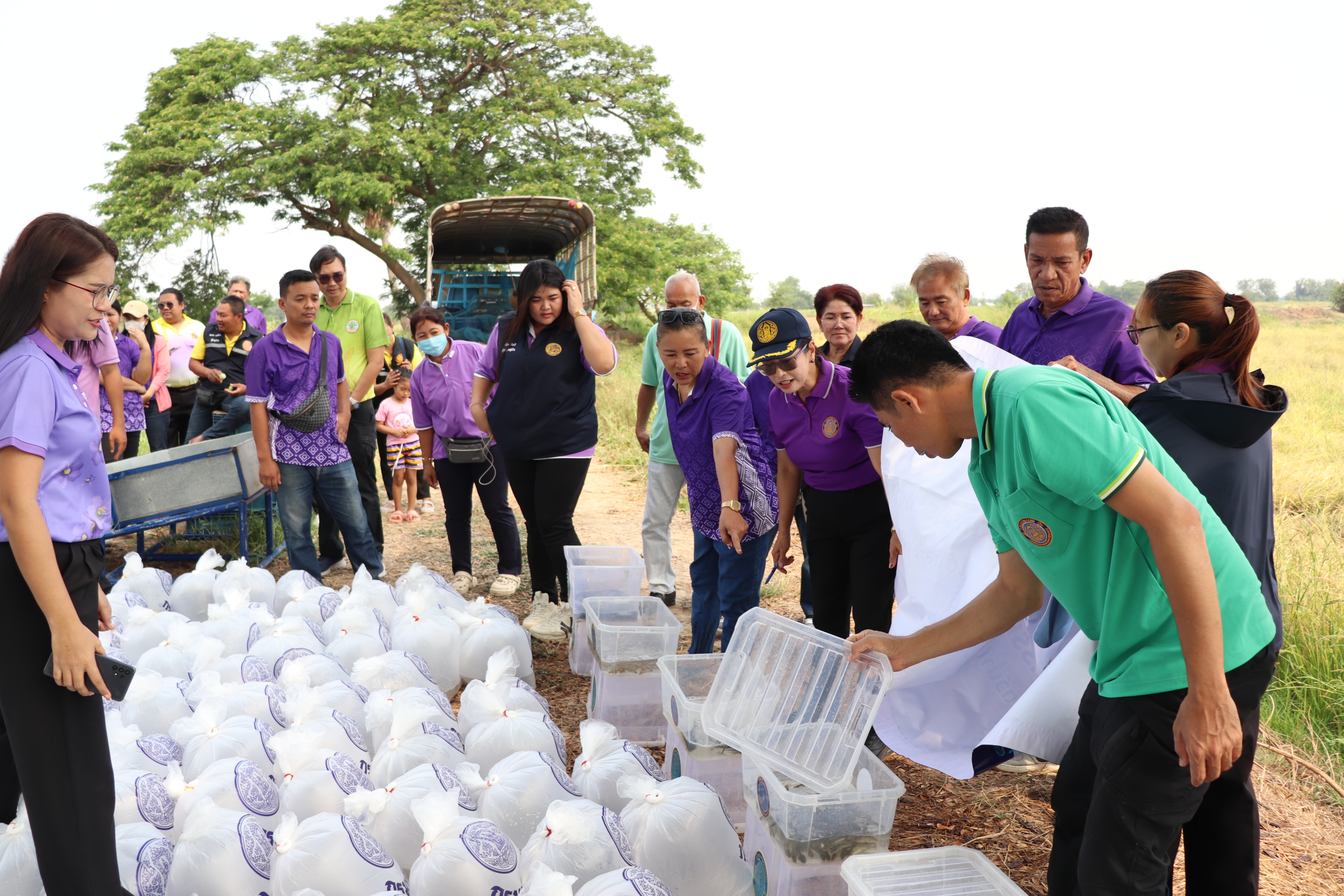 ร่วมปล่อยพันธุ์สัตว์น้ำเศรษฐกิจ 6 ชนิด ณ หนองขโมย และหนองรางยายสา ในพื้นที่อำเภอป่าโมก