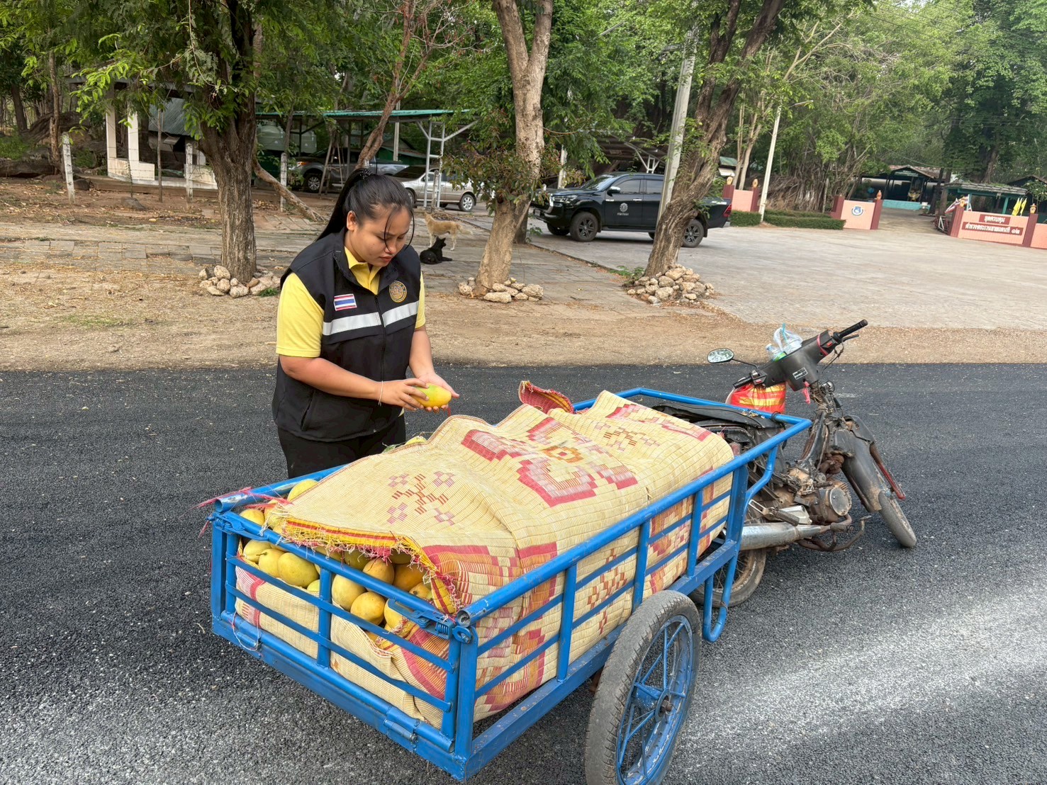 ตรวจสินค้าประมงที่นำเข้า ส่งออก ทางจุดผ่านแดนตาพระยา
