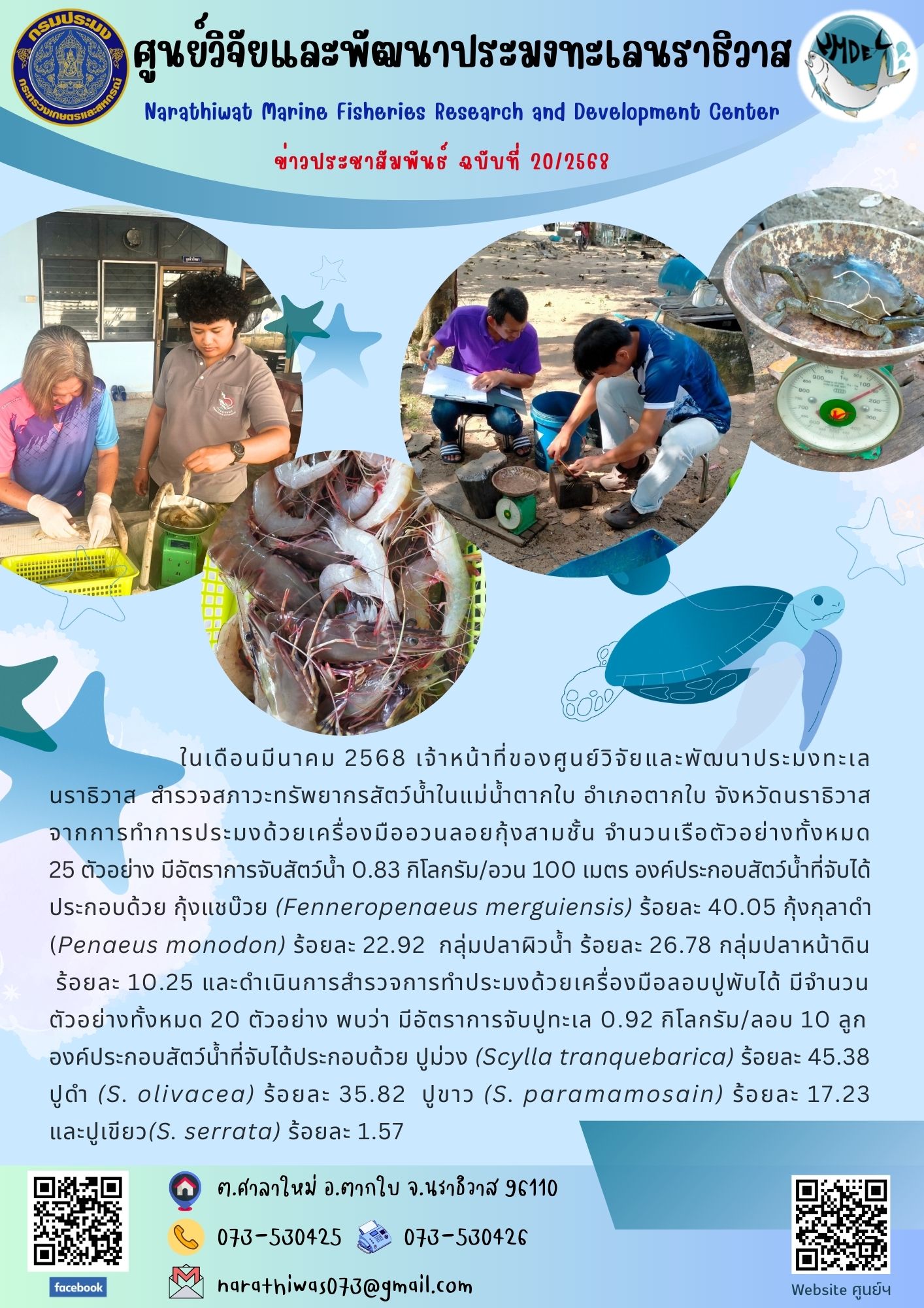 ในเดือนมีนาคม 2568 เจ้าหน้าที่ของศูนย์วิจัยและพัฒนาประมงทะเล นราธิวาส  สำรวจสภาวะทรัพยากรสัตว์น้ำในแม่น้ำตากใบ