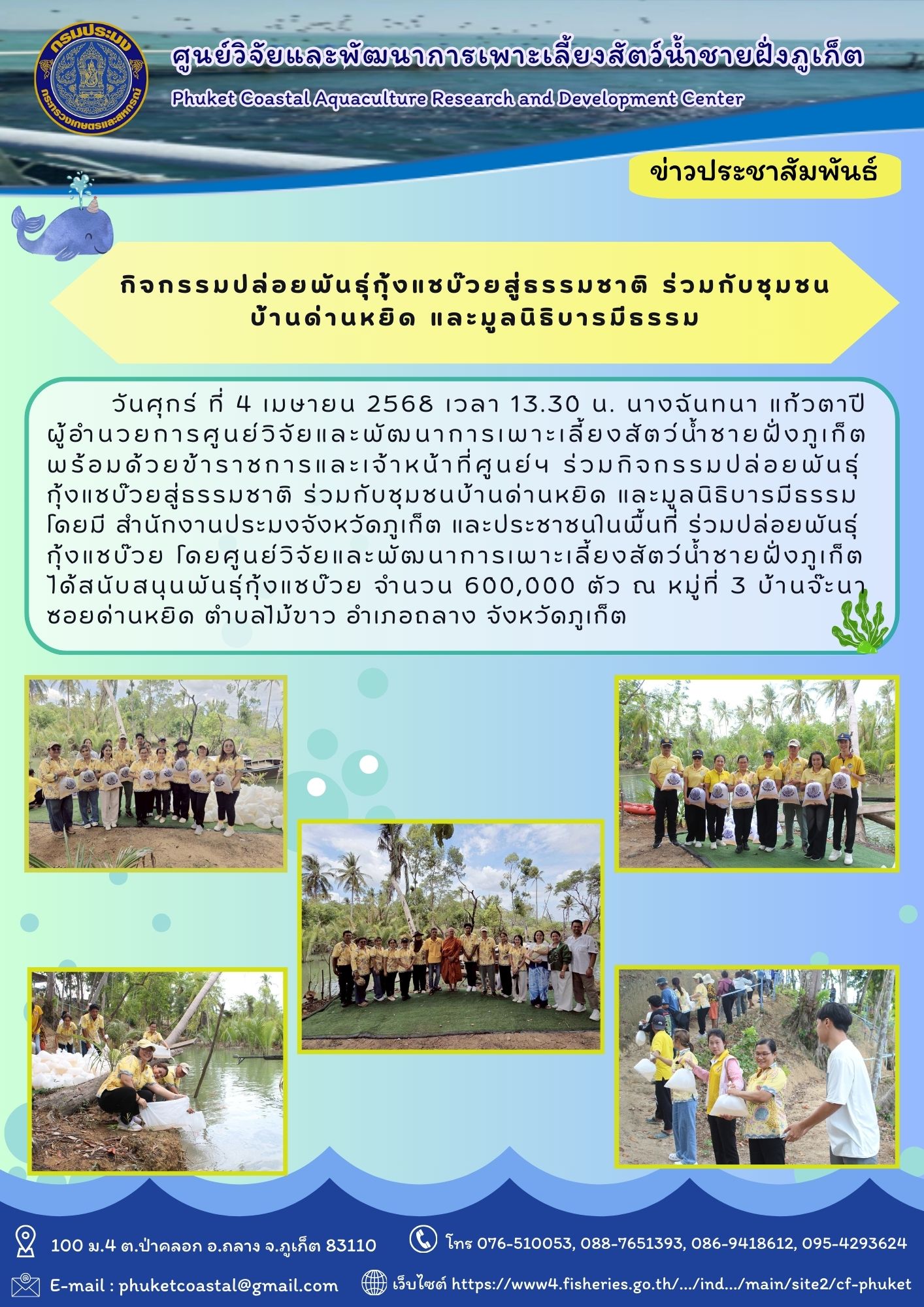 วันศุกร์ ที่ 4 เมษายน 2568 เวลา 13.30 น. กิจกรรมปล่อยพันธ์ุกุ้งแชบ๊วยสู่ธรรมชาติ ร่วมกับชุมชนบ้านด่านหยิด และมูลนิธิบารมีธรรม โดยมีโดยมี นายเทิดศักดิ์ มิตรวงค์ ประมงอำเภอถลาง เจ้าหน้าที่ สำนักงานประมงจังหวัดภูเก็ต และชาวบ้านชุมชนด่านหยิด โดยศูนย์วิจัยและพัฒนาการเพาะเลี้ยงสัตว์น้ำชายฝั่งภูเก็ต ได้สนับสนุนพันธุ์กุ้งแชบ๊วย จำนวน 600,000 ตัว ณ หมู่ที่ 3 บ้านจ๊ะนา ซอยด่านหยิด อำเภอถลาง จังหวัดภูเก็ต