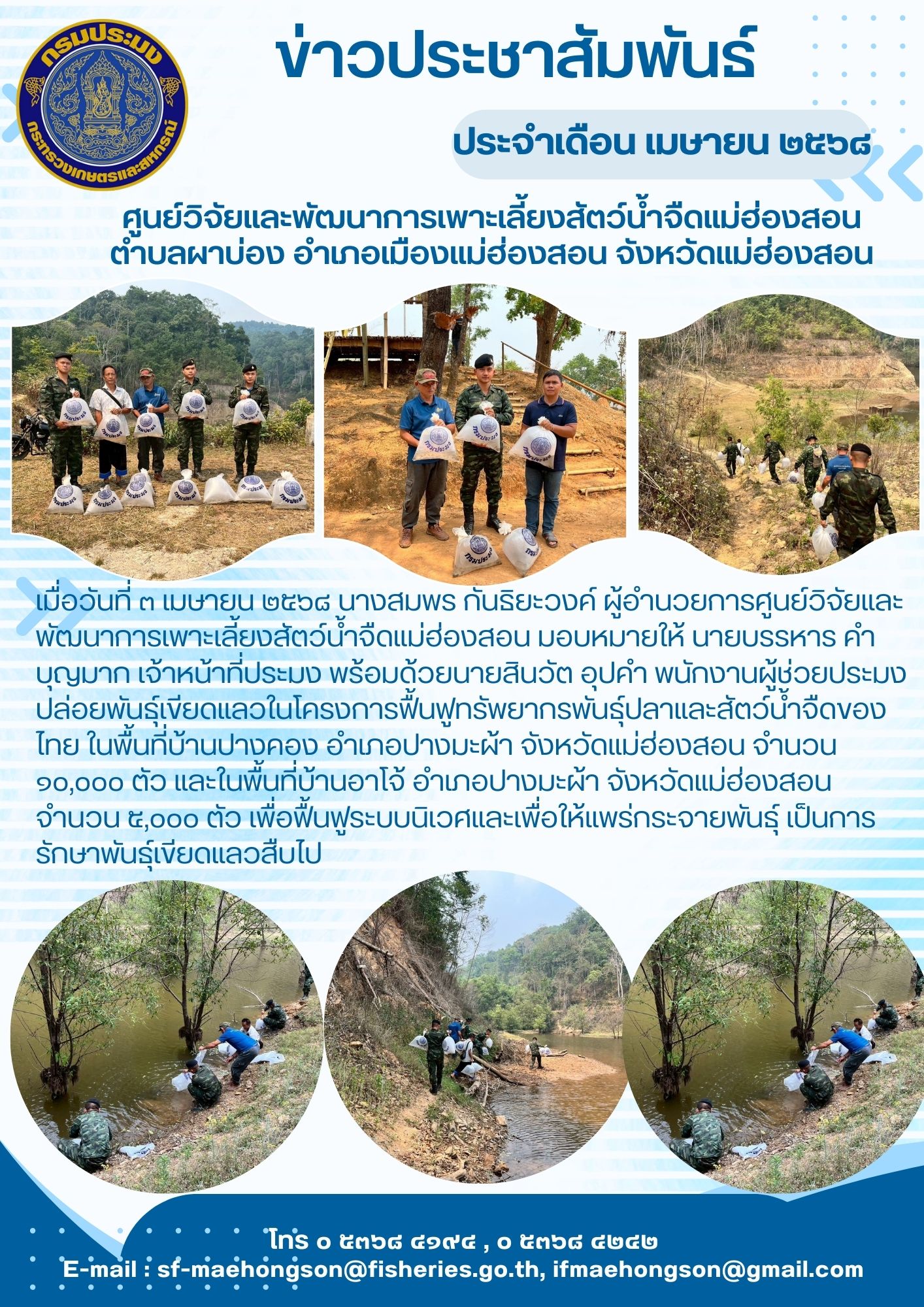 ปล่อยพันธุ์เขียดแลวในโครงการฟื้นฟูทรัพยากรพันธุ์ปลาและสัตว์น้ำจืดของไทย ในพื้นที่บ้านปางคอง 
