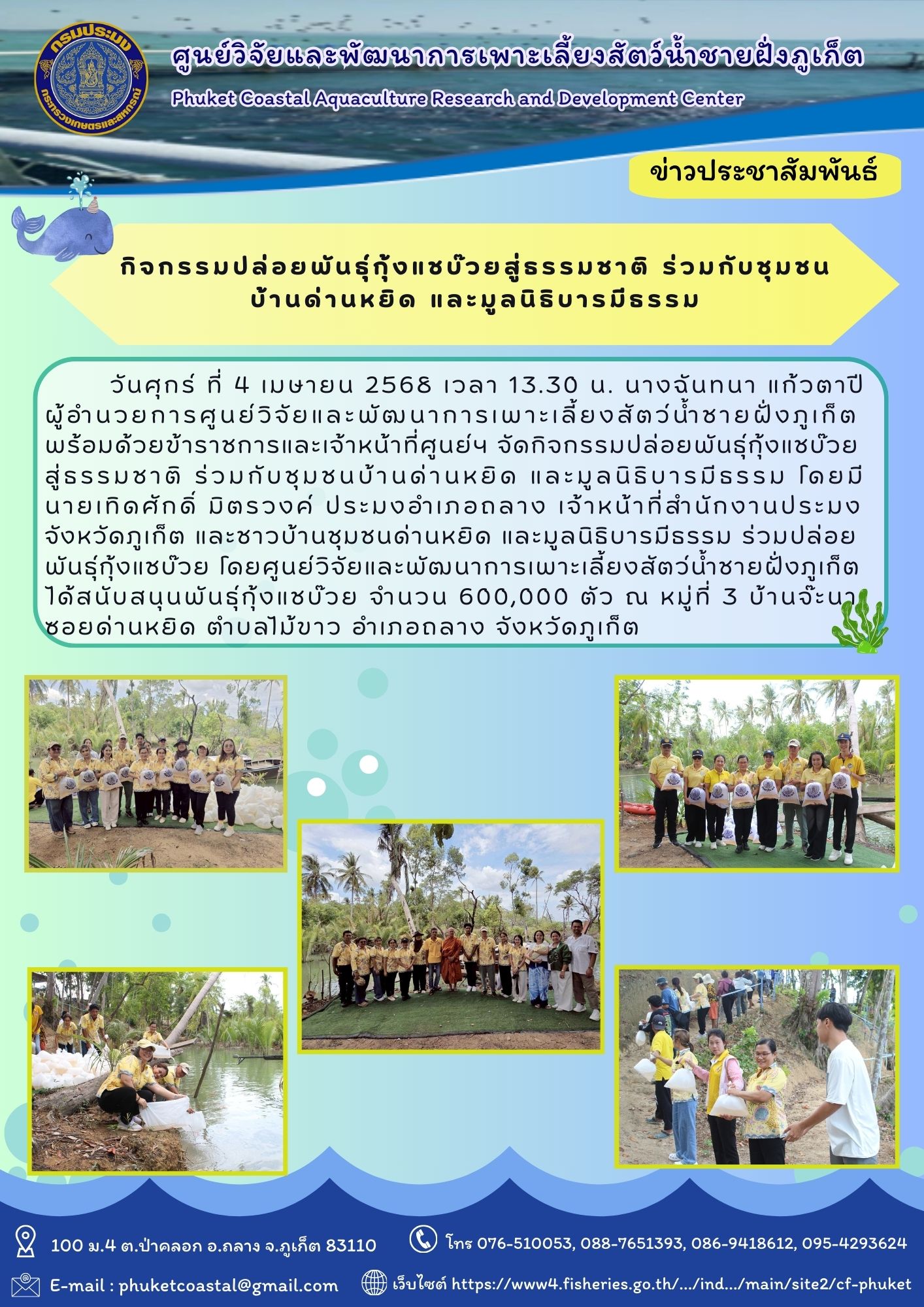 วันศุกร์ ที่ 4 เมษายน 2568 เวลา 13.30 น. กิจกรรมปล่อยพันธ์ุกุ้งแชบ๊วยสู่ธรรมชาติ ร่วมกับชุมชนบ้านด่านหยิด และมูลนิธิบารมีธรรม โดยมีโดยมี นายเทิดศักดิ์ มิตรวงค์ ประมงอำเภอถลาง เจ้าหน้าที่ สำนักงานประมงจังหวัดภูเก็ต และชาวบ้านชุมชนด่านหยิด โดยศูนย์วิจัยและพัฒนาการเพาะเลี้ยงสัตว์น้ำชายฝั่งภูเก็ต ได้สนับสนุนพันธุ์กุ้งแชบ๊วย จำนวน 600,000 ตัว ณ หมู่ที่ 3 บ้านจ๊ะนา ซอยด่านหยิด อำเภอถลาง จังหวัดภูเก็ต
