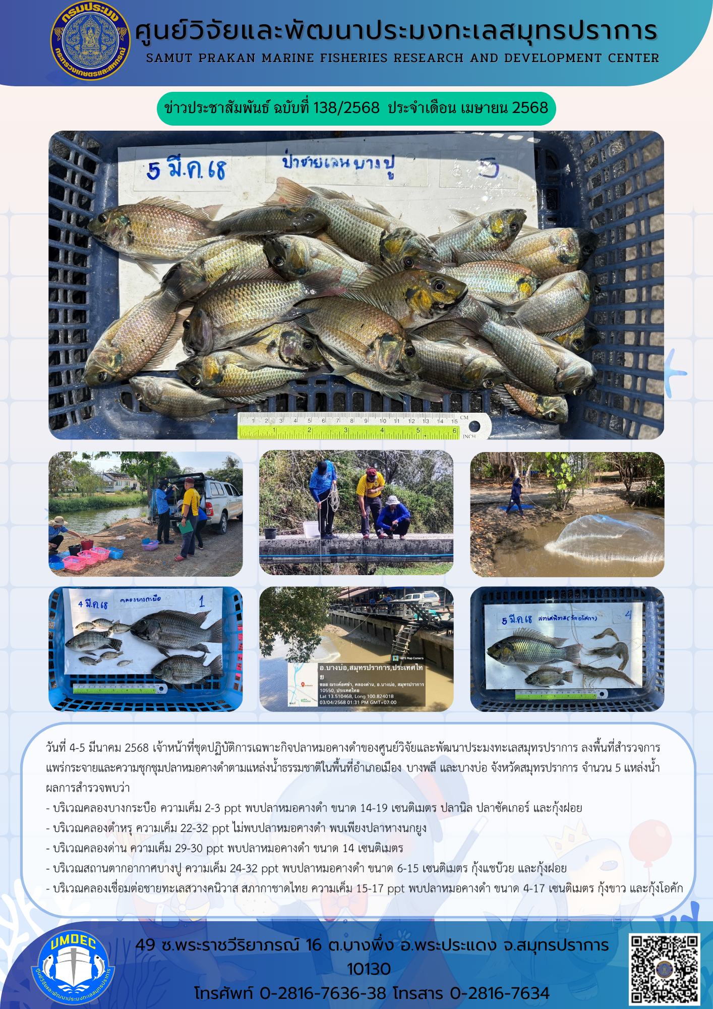 เจ้าหน้าที่ชุดปฏิบัติการเฉพาะกิจปลาหมอคางดำของศูนย์วิจัยและพัฒนาประมงทะเลสมุทรปราการ ลงพื้นที่สำรวจการแพร่กระจายและความชุกชุมปลาหมอคางดำตามแหล่งน้ำธรรมชาติในพื้นที่อำเภอเมือง บางพลี และบางบ่อ จังหวัดสมุทรปราการ..คลิก