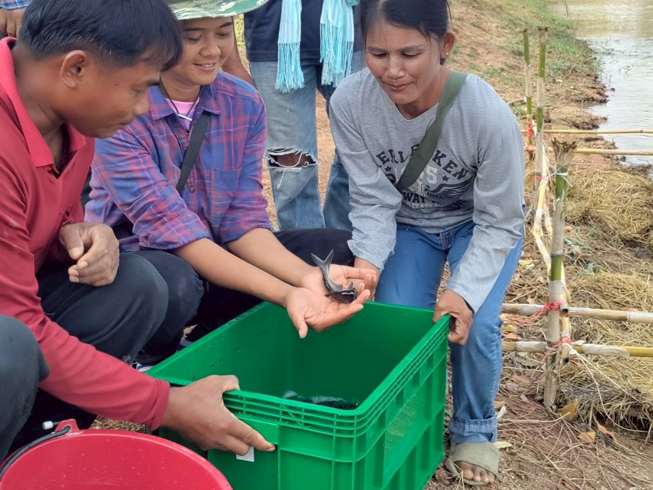  ร่วมกิจกรรมการเพิ่มผลผลิตสัตว์น้ำ โครงการบริหารจัดการทรัพยากรประมง กิจกรรมบริหารจัดการทรัพยากรประมงน้ำจืด การเพิ่มผลผลิตสัตว์น้ำในแหล่งน้ำชุมชนเพื่อเพิ่มรายได้และลดค่าครองชีพของประชาชน ประจำปีงบประมาณ 2568 