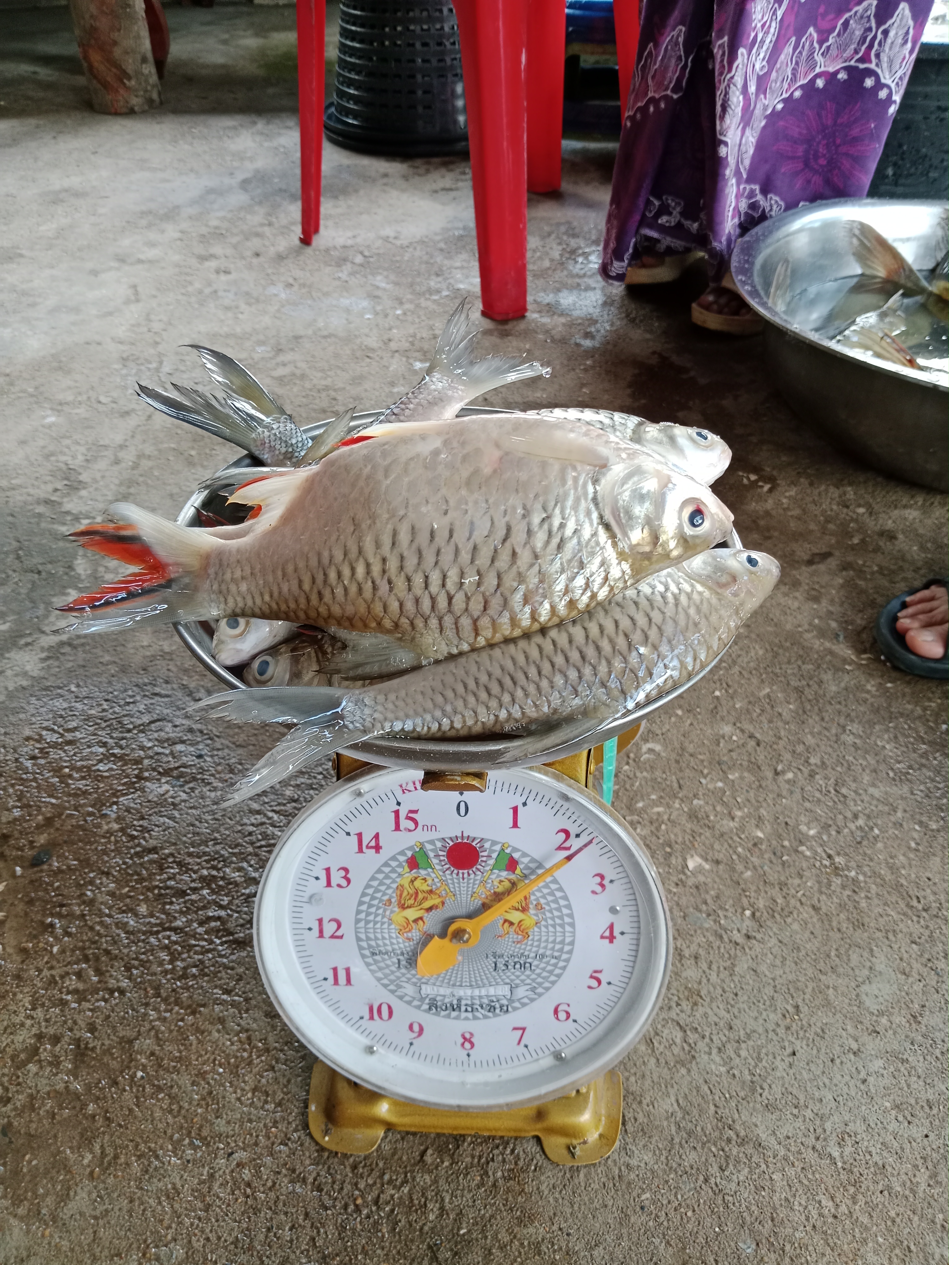 ดำเนินการตรวจรับและส่งมอบปัจจัยการผลิต