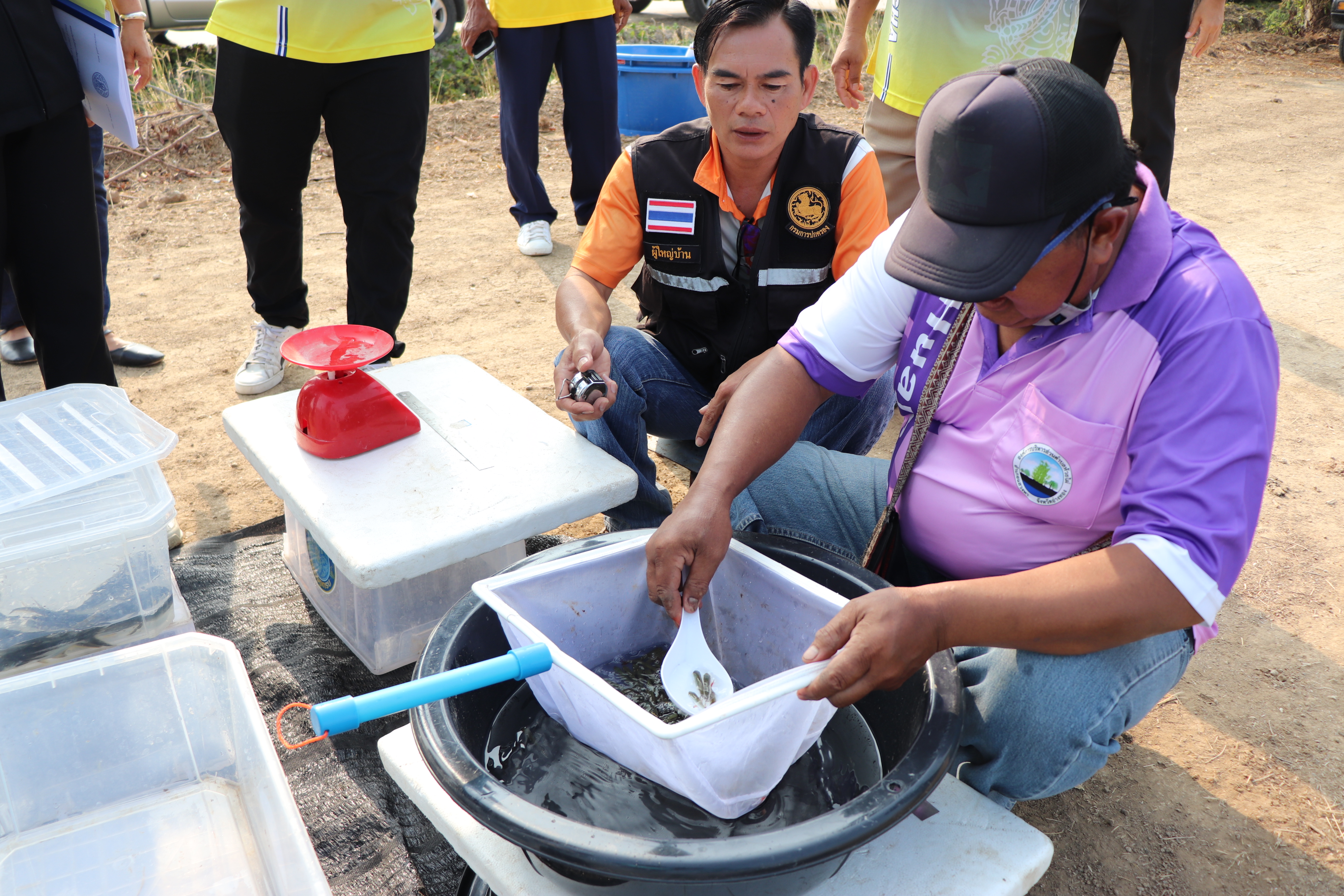 ร่วมปล่อยพันธุ์สัตว์น้ำเศรษฐกิจ 6 ชนิด ณ หนองลาดเค้าและหนองวังนาค ในพื้นที่อำเภอแสวงหา