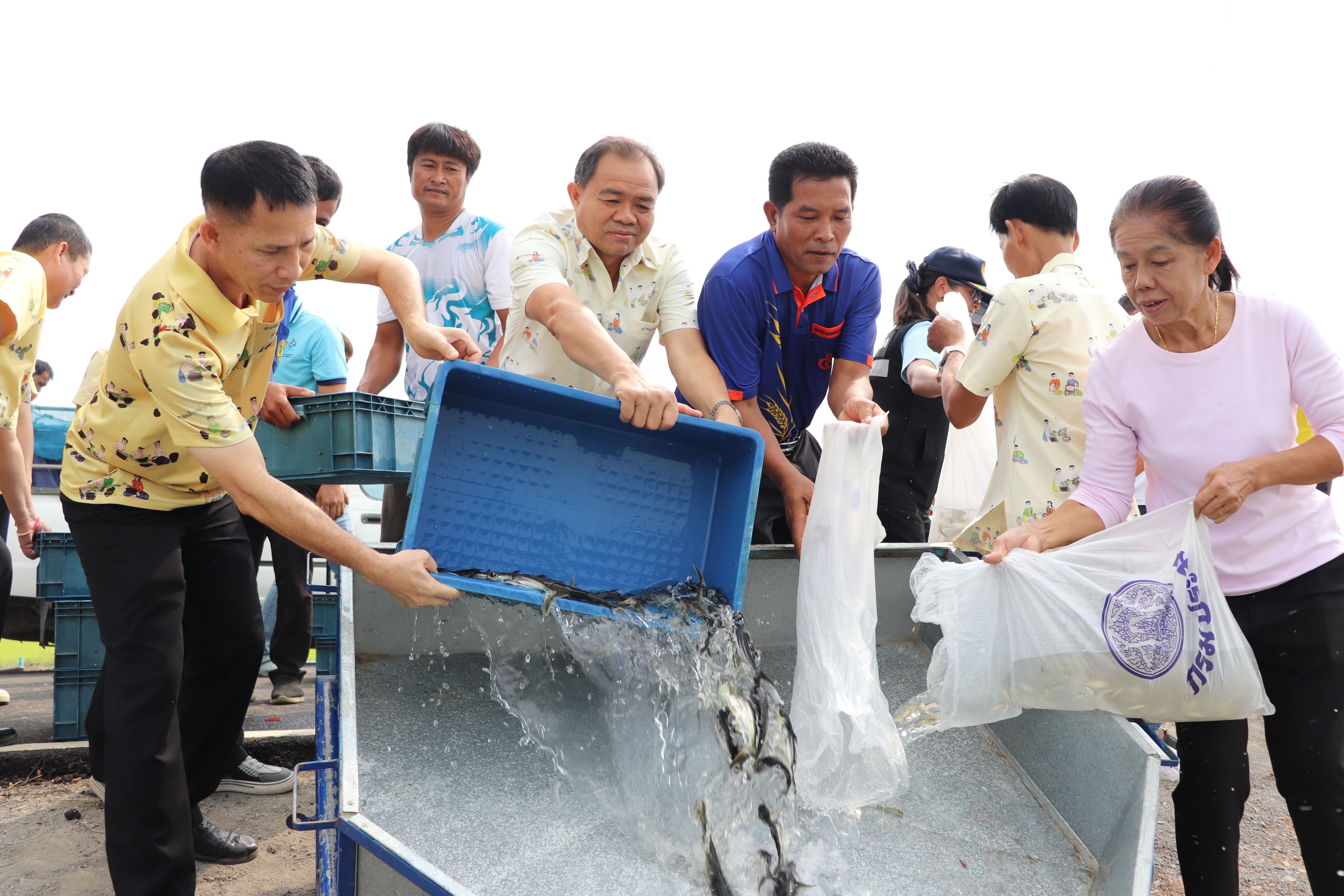 ร่วมปล่อยพันธุ์สัตว์น้ำเศรษฐกิจ 6 ชนิด ณ หนองลาดเค้าและหนองวังนาค ในพื้นที่อำเภอแสวงหา
