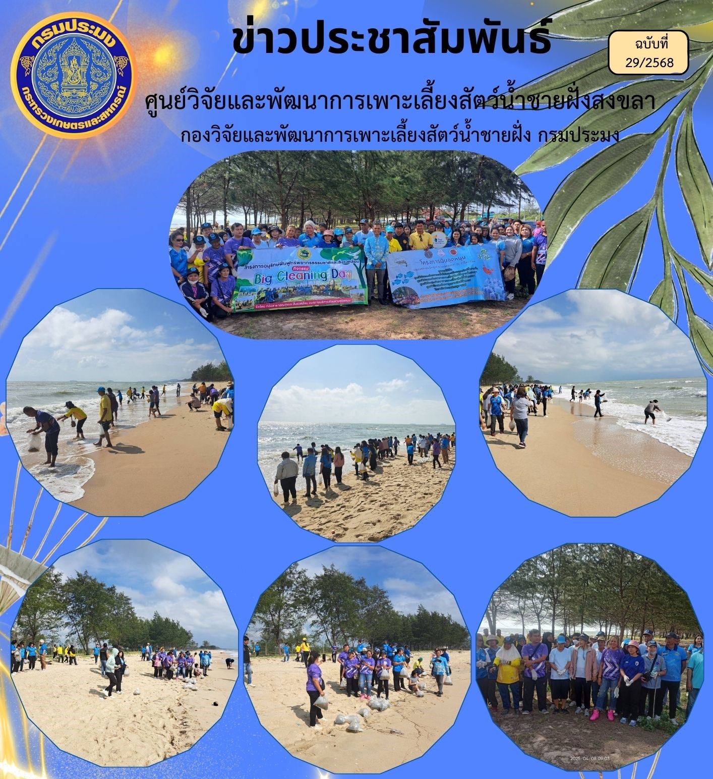 วันที่ 8 เมษายน 2568 นางสาวปริศนา คลิ้งสุขคล้าย ผู้อำนวยการศูนย์วิจัยและพัฒนาการเพาะเลี้ยงสัตว์น้ำชายฝั่งสงขลา มอบหมายให้ นายชลิต สง่างาม นักวิชาการประมงชำนาญการ ส่งมอบและร่วมปล่อยพันธุ์ปูม้า..คลิก