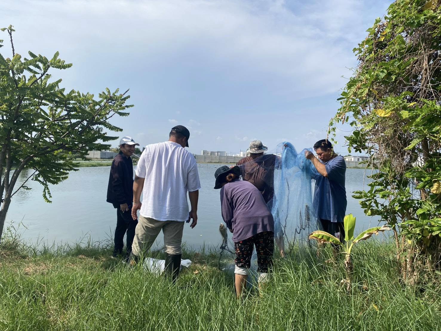 สำนักงานประมงพื้นที่กรุงเทพมหานคร ตรวจสอบบ่อเลี้ยงสัตว์น้ำของเกษตรกรที่ได้รับความเสียหายเนื่องจากการแพร่ระบาดของปลาหมอคางดำ ในพื้นที่เขตบางขุนเทียน กรุงเทพมหานคร