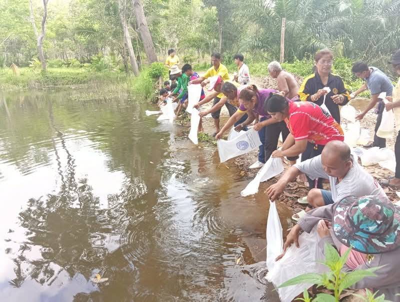 กลุ่มบริหารจัดการด้านการประมง พร้อมด้วย เจ้าหน้าที่ ศูนย์วิจัยและพัฒนาประมงน้ำจืดพัทลุง ร่วมปล่อยพันธุ์สัตว์น้ำ  กุ้งก้ามกราม จำนวน 200,000 ตัว ลงสู่แหล่งน้ำห้วยทราย หมู่ 1  ตำบลเกาะเต่า อำเภอป่าพะยอม จังหวัดพัทลุง..คลิก