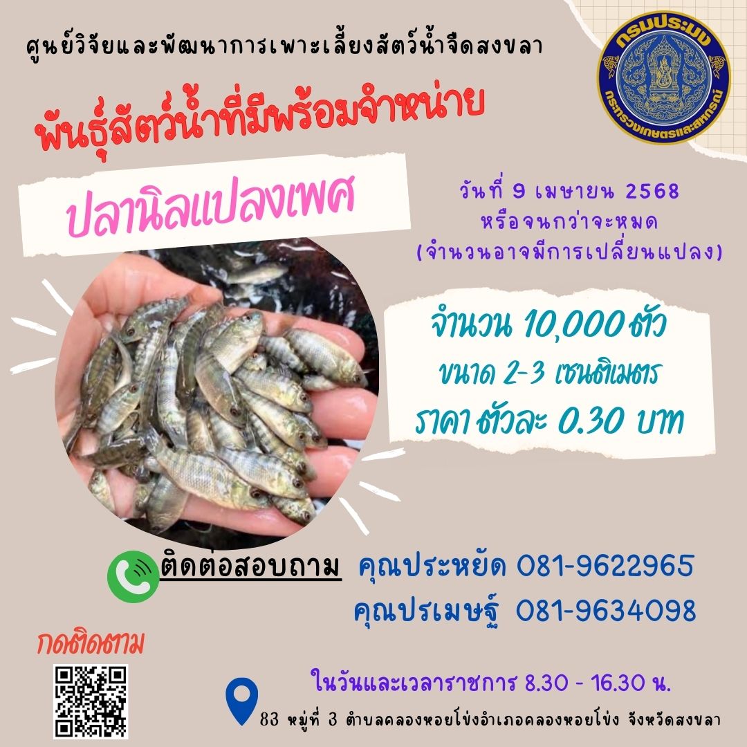 พันธุ์สัตว์น้ำพร้อมจำหน่าย
