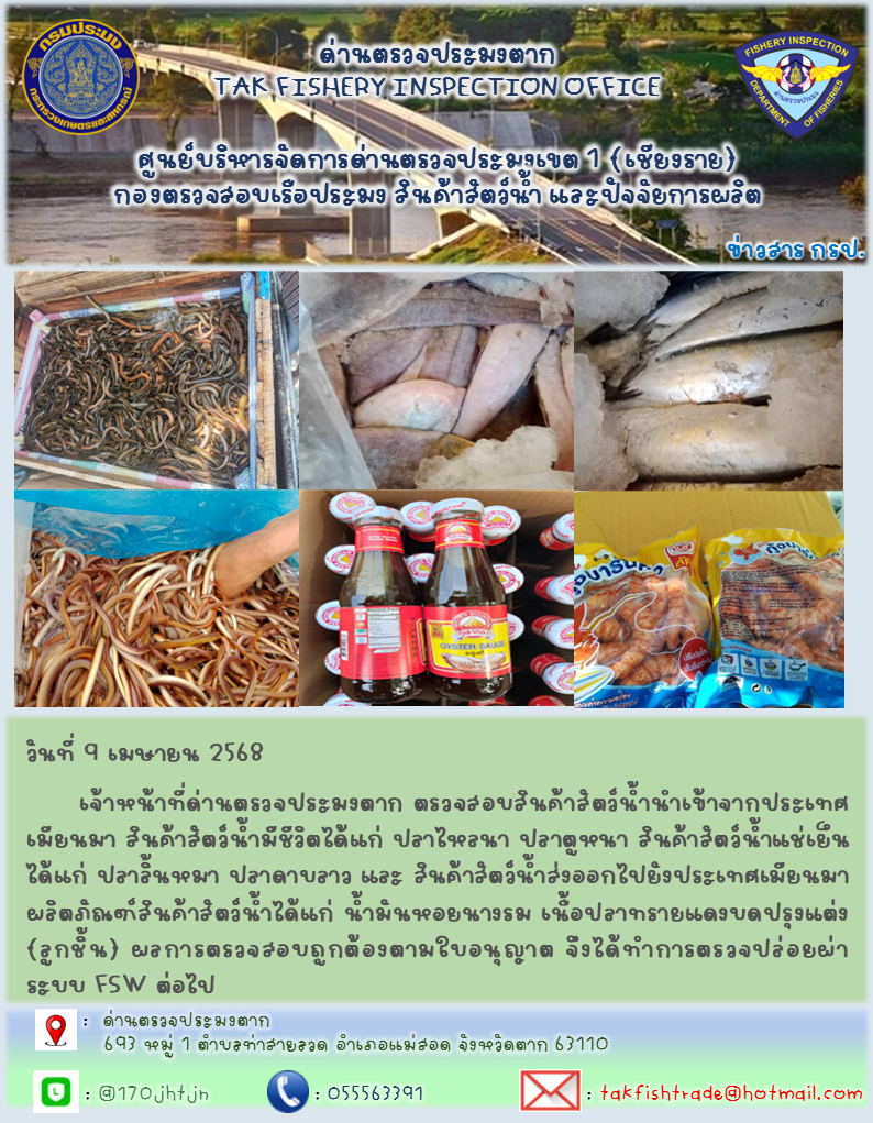 วันที่ 9 เมษายน 2568  เจ้าหน้าที่ด่านตรวจประมงตาก ตรวจสอบสินค้าสัตว์น้ำนำเข้าจากประเทศเมียนมา สินค้าสัตว์น้ำมีชีวิตได้แก่ ปลาไหลนา ปลาตูหนา สินค้าสัตว์น้ำแช่เย็นได้แก่ ปลาลิ้นหมา ปลาดาบลาว และ สินค้าสัตว์น้ำส่งออกไปยังประเทศเมียนมา ผลิตภัณฑ์สินค้าสัตว์น้ำได้แก่ น้ำมันหอยนางรม เนื้อปลาทรายแดงบดปรุงแต่ง(ลูกชิ้น) ผลการตรวจสอบถูกต้องตามใบอนุญาต จึงได้ทำการตรวจปล่อยผ่านระบบ FSW ต่อไป