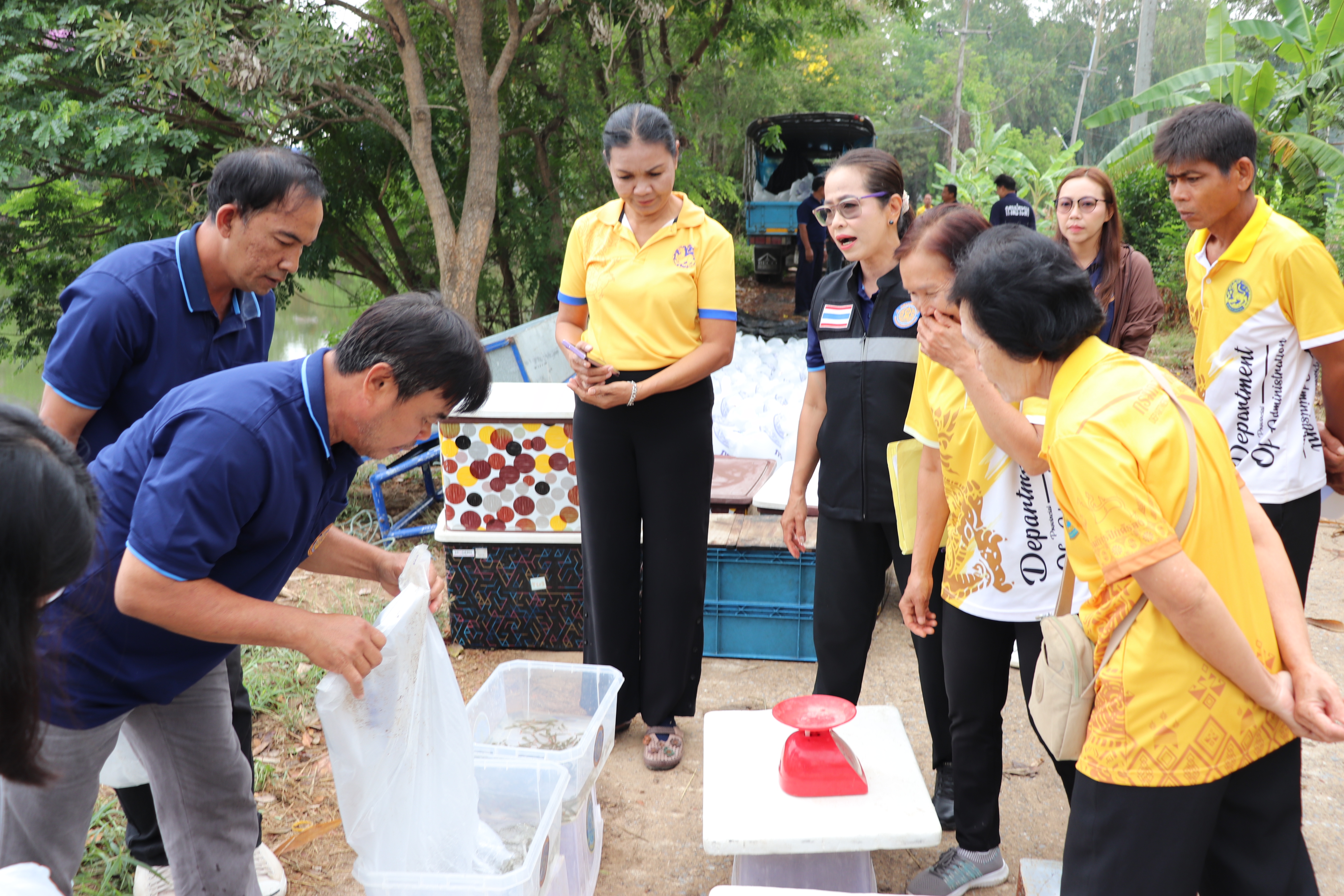 ร่วมปล่อยพันธุ์สัตว์น้ำเศรษฐกิจ 6 ชนิด ณ หนองตาเมฆในพื้นที่อำเภอโพธิ์ทอง และหนองจิก ในพื้นที่อำเภอแสวงหา