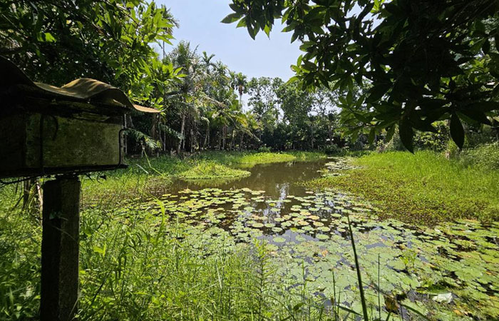 ศูนย์ฯ มุ่งมั่นและให้ความสำคัญในด้านการส่งเสริมเกษตรกรรมยั่งยืน สร้างความมั่นคงทางอาหาร และสิ่งแวดล้อม..คลิก
