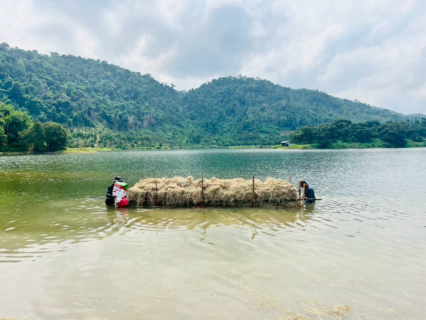 สร้างแหล่งอาหารธรรมชาติในแหล่งน้ำ ตามแผนงานยุทธศาสตร์การเกษตรสร้างมูลค่า  (ค่าใช้จ่ายในการเพิ่มผลผลิตสัตว์น้ำในแหล่งน้ำชุมชนเพื่อเพิ่มรายได้และลดค่าครองชีพประชาชน)