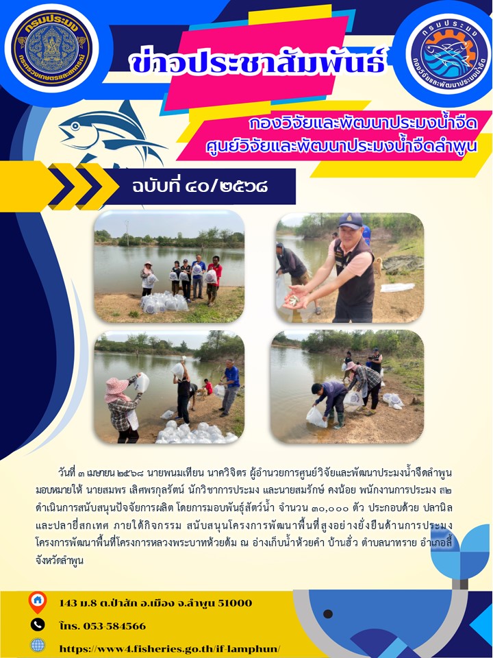 วันที่ 3 เมษายน 2568 นายพนมเทียน นาควิจิตร ผู้อำนวยการศูนย์วิจัยและพัฒนาประมงน้ำจืดลำพูน มอบหมายให้ นายสมพร เลิศพรกุลรัตน์ นักวิชาการประมง และนายสมรักษ์ คงน้อย พนักงานการประมง ส2 ดำเนินการสนับสนุนปัจจัยการผลิต โดยการมอบพันธุ์สัตว์น้ำ จำนวน 30,000 ตัว ประกอบด้วย ปลานิล และปลายี่สกเทศ ภายใต้กิจกรรม สนับสนุนโครงการพัฒนาพื้นที่สูงอย่างยั่งยืนด้านการประมง โครงการพัฒนาพื้นที่โครงการหลวงพระบาทห้วยต้ม ณ อ่างเก็บน้ำห้วยคำ บ้านฮั่ว ตำบลนาทราย อำเภอลี้ จังหวัดลำพูน