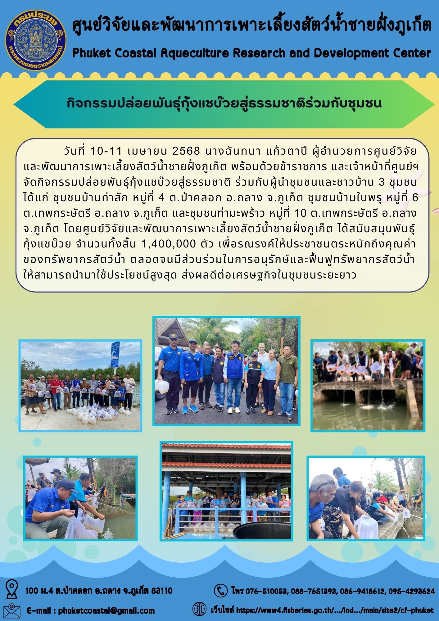 วันที่ 10-11 เมษายน 2568 ศูนย์วิจัยและพัฒนาการเพาะเลี้ยงสัตว์น้ำชายฝั่งภูเก็ตจัดกิจกรรมปล่อยพันธุ์กุ้งแชบ๊วยสู่ธรรมชาติร่วมกับชุมชน