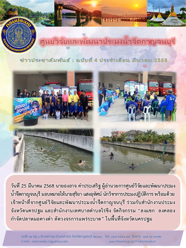 ศูนย์วิจัยและพัฒนาประมงน้ำจืดกาญจนบุรี ร่วมกับสำนักงานประมงจังหวัดนครปฐมกำจัดปลาหมอคางดำ