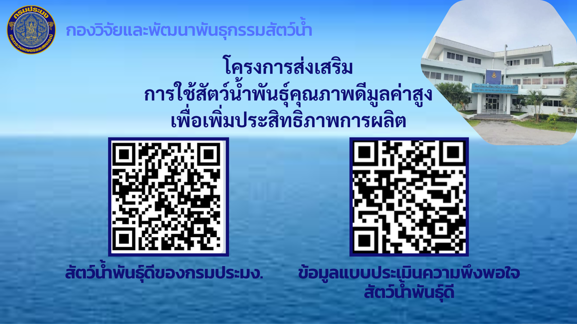 สรุปโครงการส่งเสริมการใช้สัตว์น้ำพันธุ์คุณภาพดีมูลค่าสูงเพื่อเพิ่มประสิทธิภาพการผลิต ปี 2567
