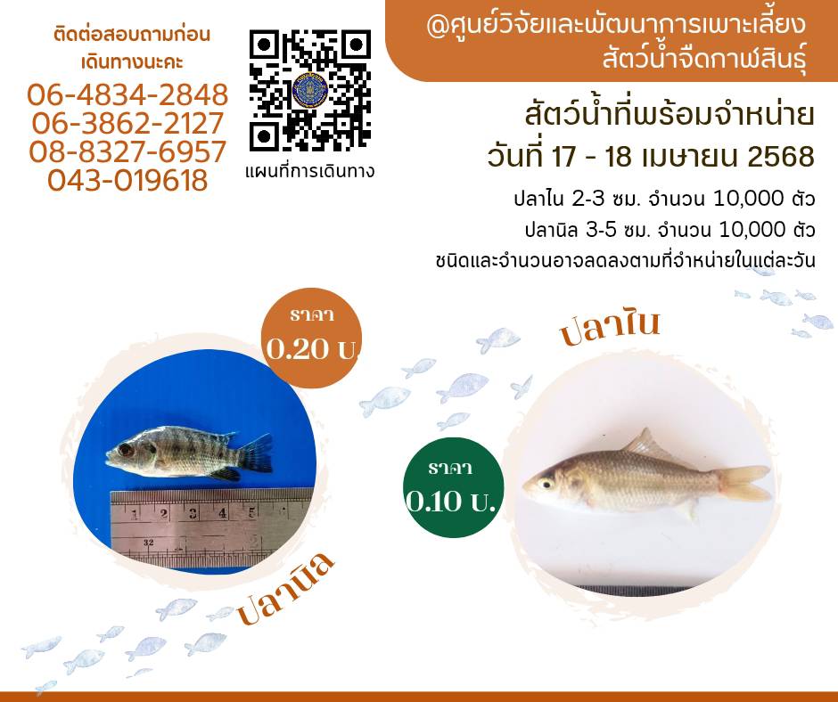 สัตว์น้ำพร้อมจำหน่าย