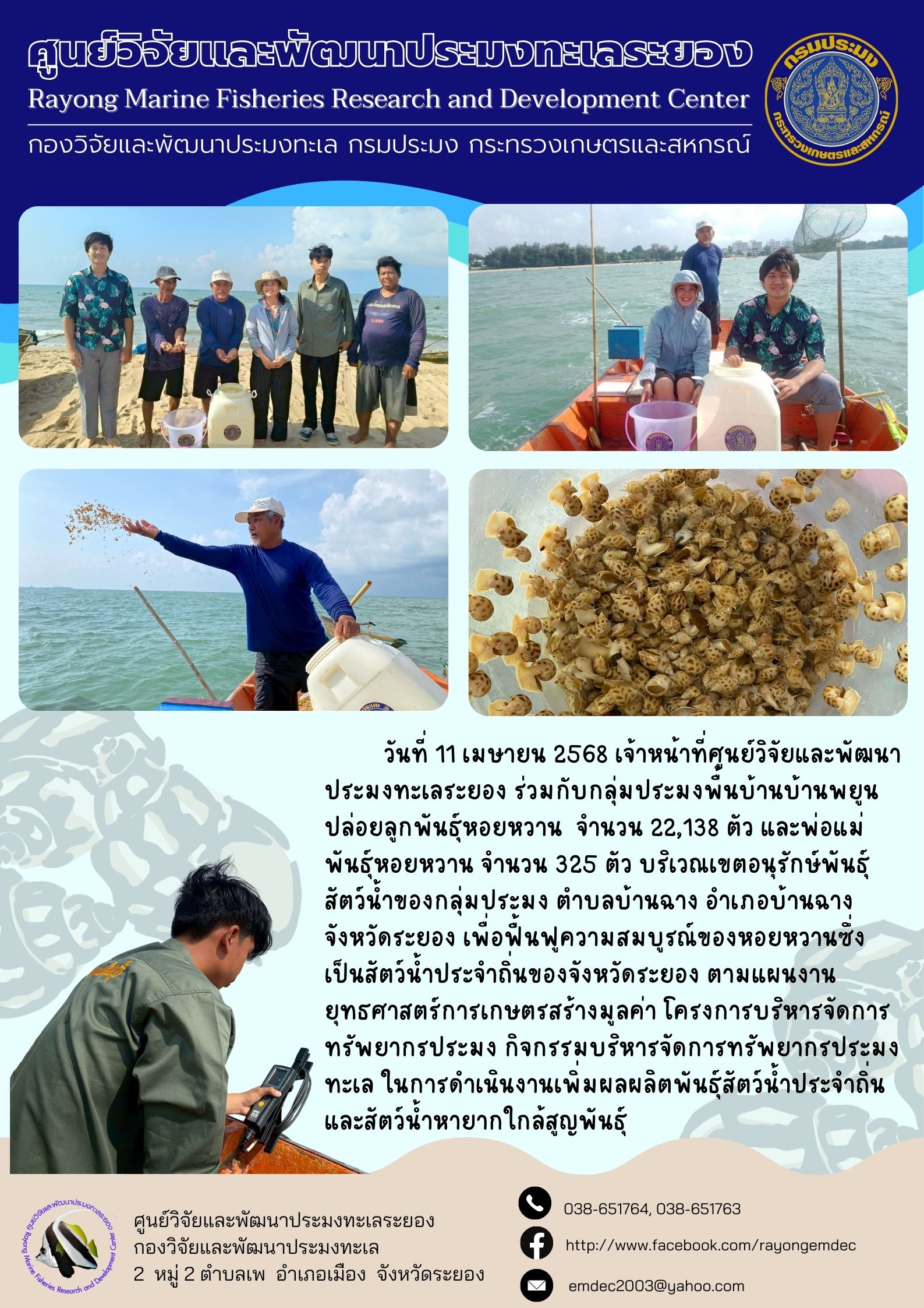 วันที่ 11 เมษายน 2568 เจ้าหน้าที่ศูนย์วิจัยและพัฒนาประมงทะเลระยอง ร่วมกับกลุ่มประมงพื้นบ้านบ้านพยูนปล่อยลูกพันธุ์หอยหวาน จำนวน 22,138 ตัว และพ่อแม่พันธุ์หอยหวาน จำนวน 325 ตัว บริเวณเขตอนุรักษ์พันธุ์สัตว์นำของกลุ่มประมง ตำบลบ้านฉาง อำเภอบ้านฉาง จังหวัดระยอง ฯลฯ..คลิก
