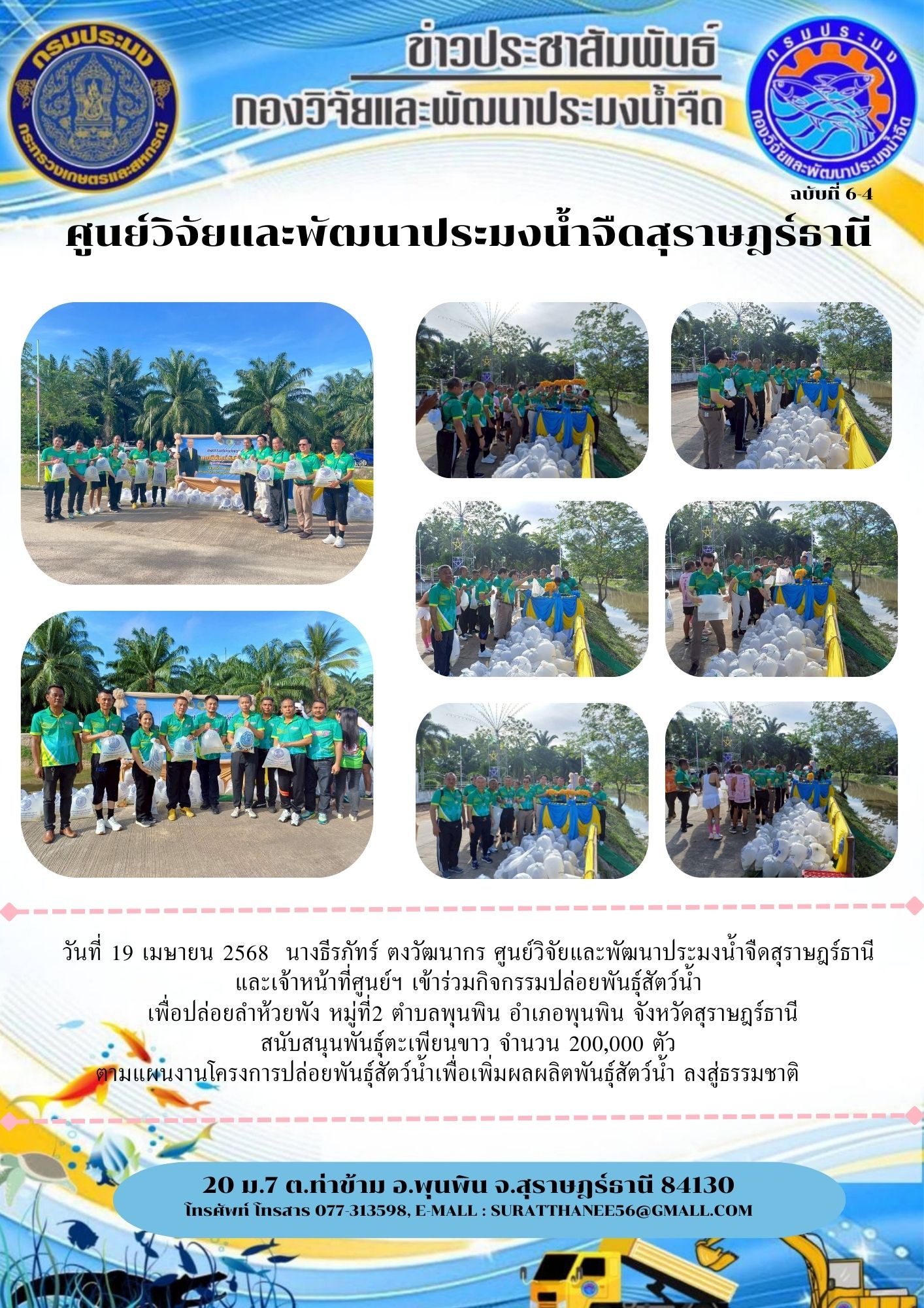 วันที่ 19 เมษายน 2568  นางธีรภัทร์ ตงวัฒนากร ศูนย์วิจัยและพัฒนาประมงน้ำจืดสุราษฎร์ธานี และเจ้าหน้าที่ศูนย์ฯ เข้าร่วมกิจกรรมปล่อยพันธุ์สัตว์น้ำ  เพื่อปล่อยลำห้วยพัง หมู่ที่2 ตำบลพุนพิน อำเภอพุนพิน จังหวัดสุราษฎร์ธานี สนับสนุนพันธุ์ตะเพียนขาว จำนวน 200,000 ตัว ตามแผนงานโครงการปล่อยพันธุ์สัตว์น้ำเพื่อเพิ่มผลผลิตพันธุ์สัตว์น้ำ ลงสู่ธรรมชาติ     