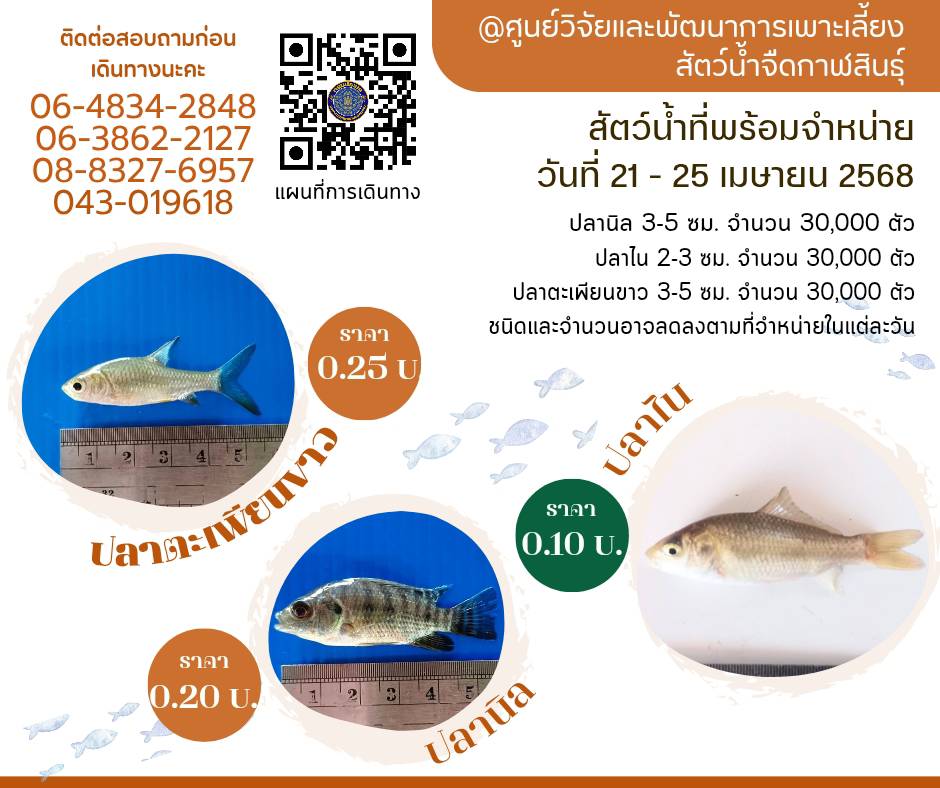สัตว์น้ำพร้อมจำหน่าย