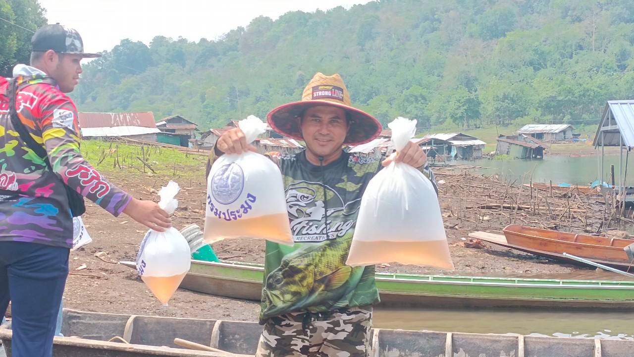ปล่อยลูกพันธุ์กุ้งก้ามกราม