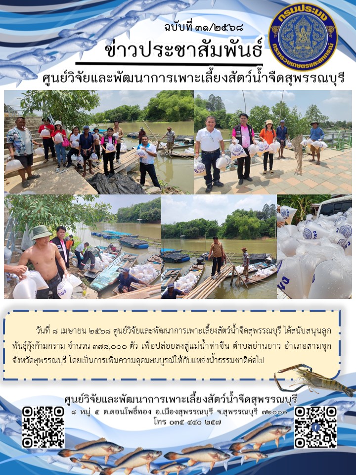 ปล่อยลูกพันธุ์กุ้งก้ามกราม อำเภอสามชุม จังหวัดสุพรรณบุรี