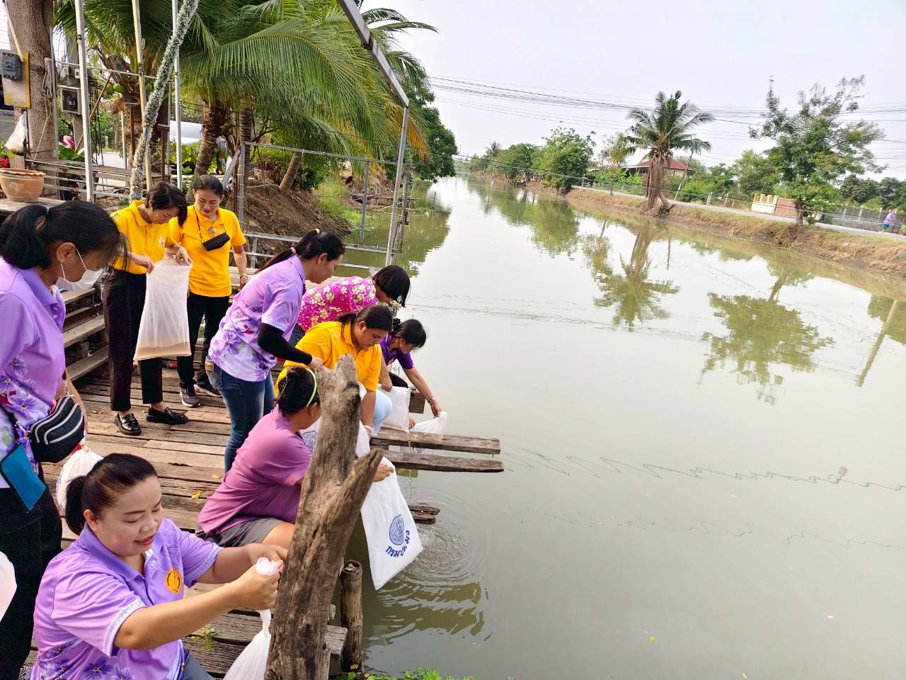 ปล่อยลูกพันธุ์กุ้งก้าม ณ คลองชลประทานไผ่ขวาง หมู่ที่ 2 ต.ไผ่ขวาง อ.เมือง จ.สุพรรณบุรี