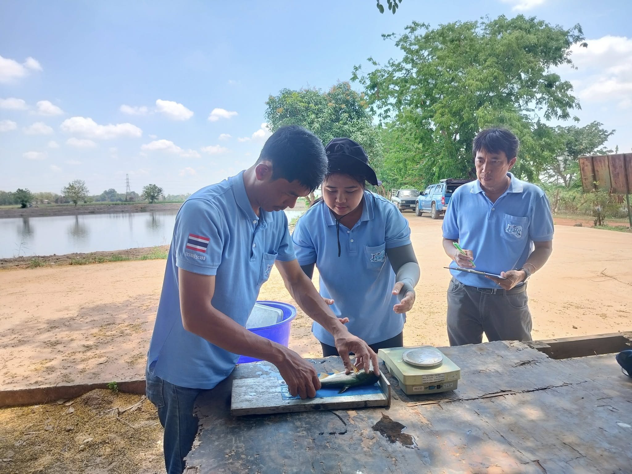 ติดตามการเจริญเติบโตหลังการปล่อยสัตว์น้ำ ครั้งที่ 1 ที่บึงกิ่ว อำเภอลานกระบือ จังหวัดกำแพงเพชร