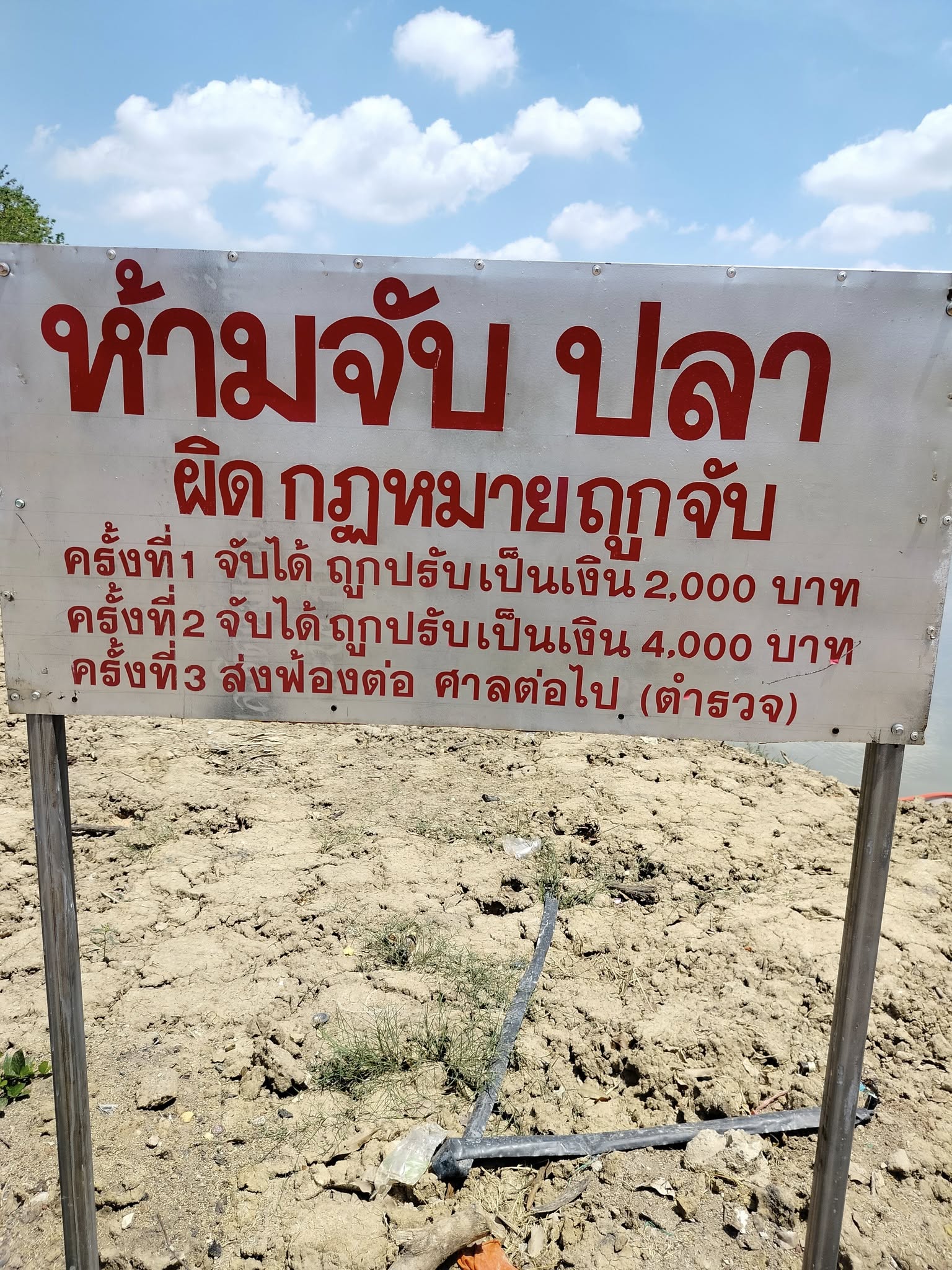 ติดตามการเจริญเติบโตหลังการปล่อยสัตว์น้ำ ครั้งที่ 1 ที่บึงกิ่ว อำเภอลานกระบือ จังหวัดกำแพงเพชร