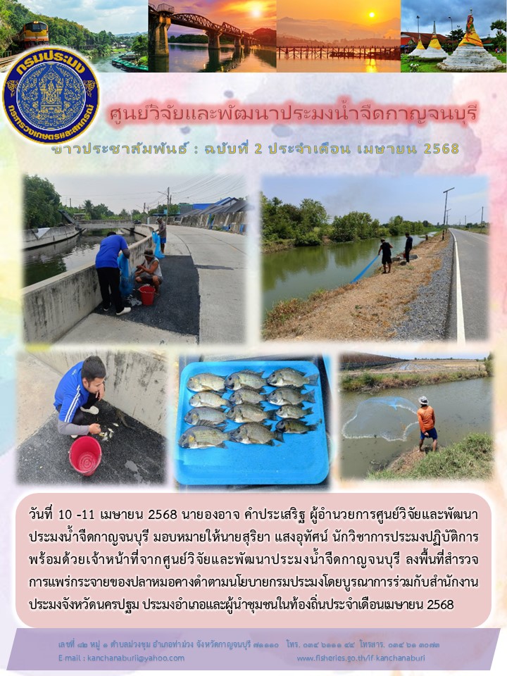 ศูนย์วิจัยและพัฒนาประมงน้ำจืดกาญจนบุรี สำรวจการแพร่กระจายปลาหมอคางดำตามนโยบายกรมประมงบูรณาการร่วมกับสำนักงานประมงจังหวัดนครปฐม
