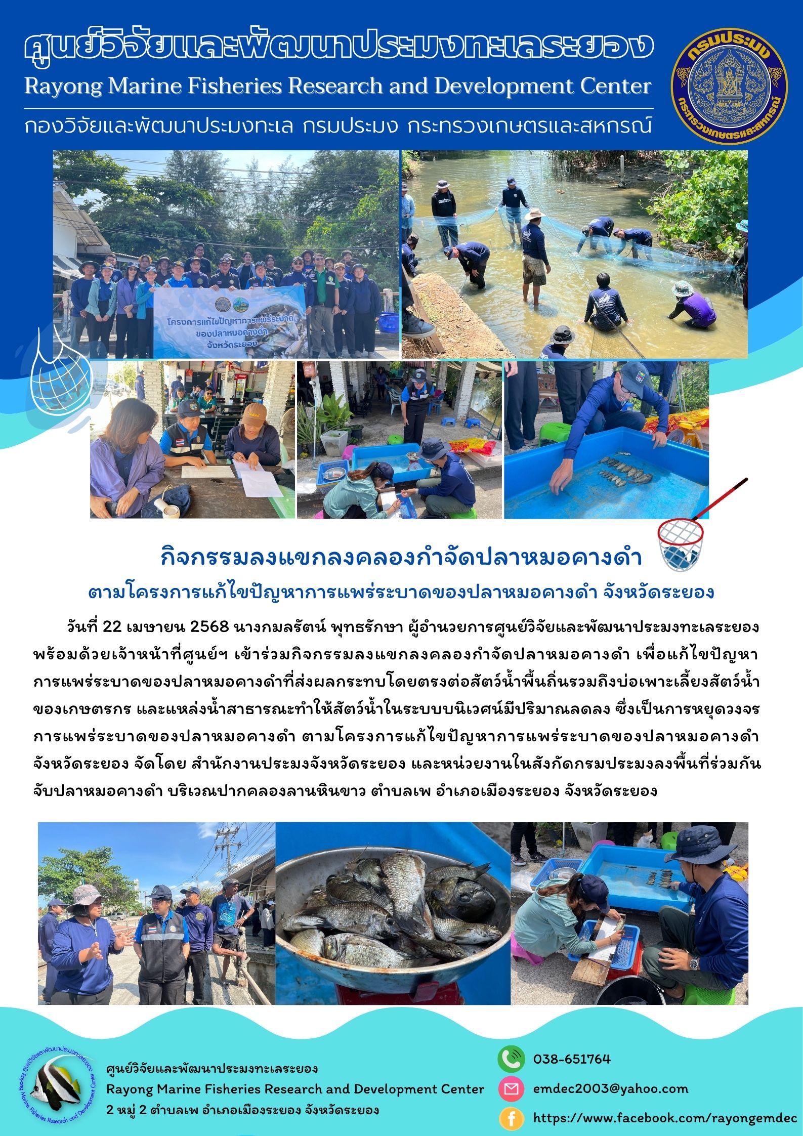 กิจกรรมลงแขกลงคลองกำจัดปลาหมอคางดำ ตามโครงการแก้ไขปัญหาการแพร่ระบาดของปลาหมอคางดำ จังหวัดระยอง..คลิก