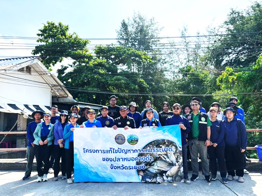 นางนันทวัน ศานติสาธิตกุล ผู้อำนวยการศูนย์วิจัยและพัฒนาการเพาะเลี้ยงสัตว์น้ำชายฝั่งระยอง มอบหมายให้ นายอนุวัฒน์  ทัดประดิษฐ์ นักวิชาการประมง นายเอกรินทร์  วิเศษแสง นายช่างเครื่องยนต์และนายวีระ  ขีระพะโย ช่างปูน ช4 ร่วมกิจกรรมลงแขกลงคลองกำจัดปลาหมอคางดำ จังหวัดระยอง..คลิก