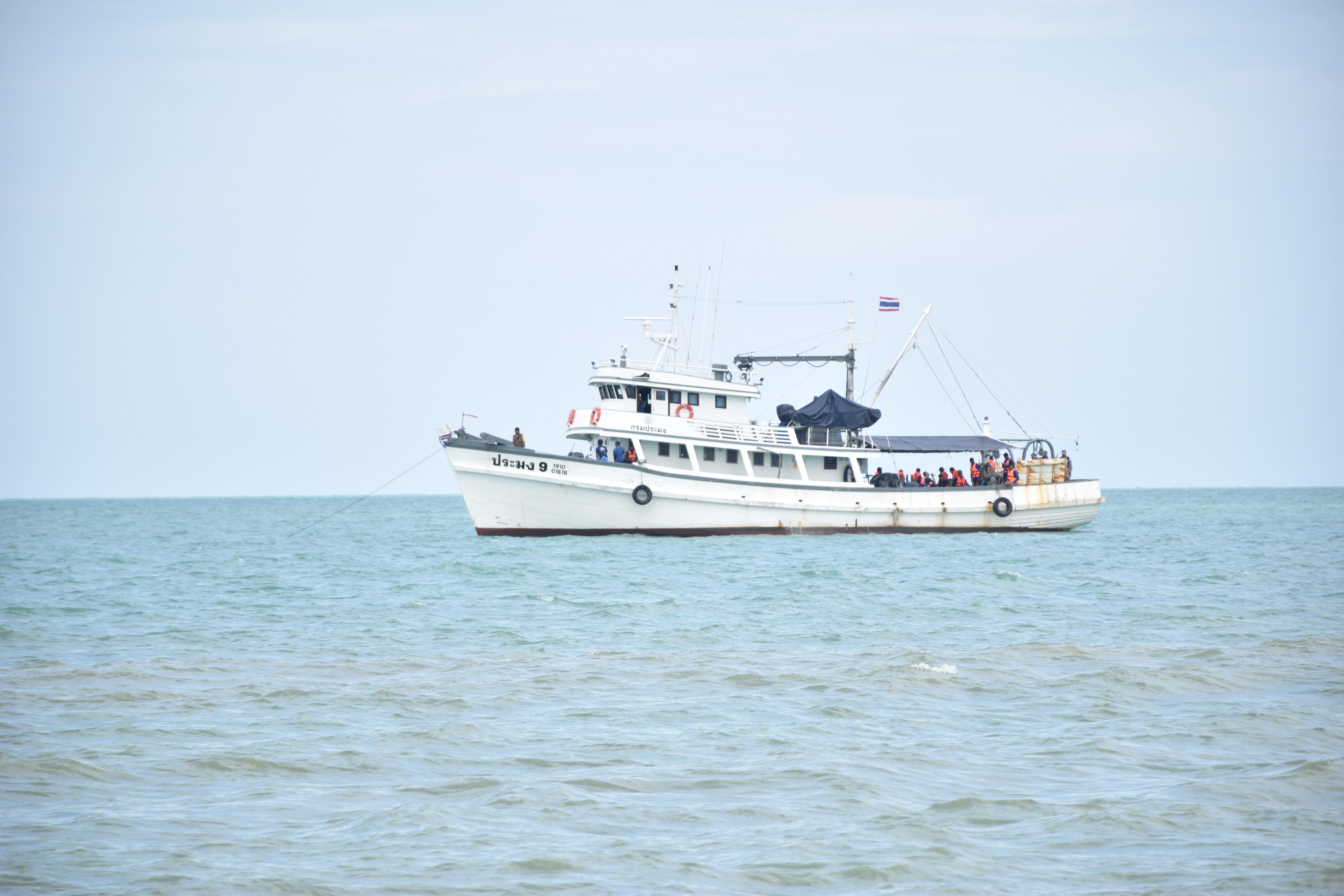 วันพุธที่ 23 เมษายน 2568 ณ บริเวณชายหาดชลาทัศน์    นายณรงค์ศักดิ์ คงชัย นักวิชาการประมงชำนาญการ พร้อมเจ้าหน้าที่ #ศูนย์วิจัยและพัฒนาประมงทะเลสงขลา  ร่วมกับกองทัพเรือ โดยทัพเรือภาค 2 ศรชล.ภาค 2 และพันธมิตร จัดฝึกช่วยเหลือผู้ประสบภัยในทะเล และขจัดคราบน้ำมัน   โดยเรือสำรวจประมง 9 