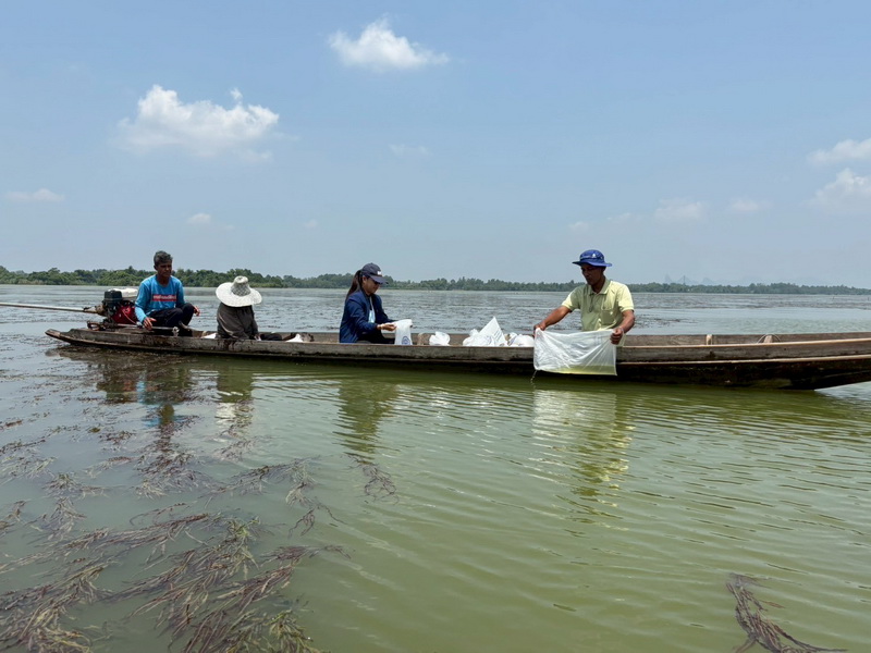 ร่วมปล่อยพันธุ์กุ้งก้ามกราม ลงสู่ทะเลสาบสงขลา อ.เขาชัยสน จ.พัทลุง