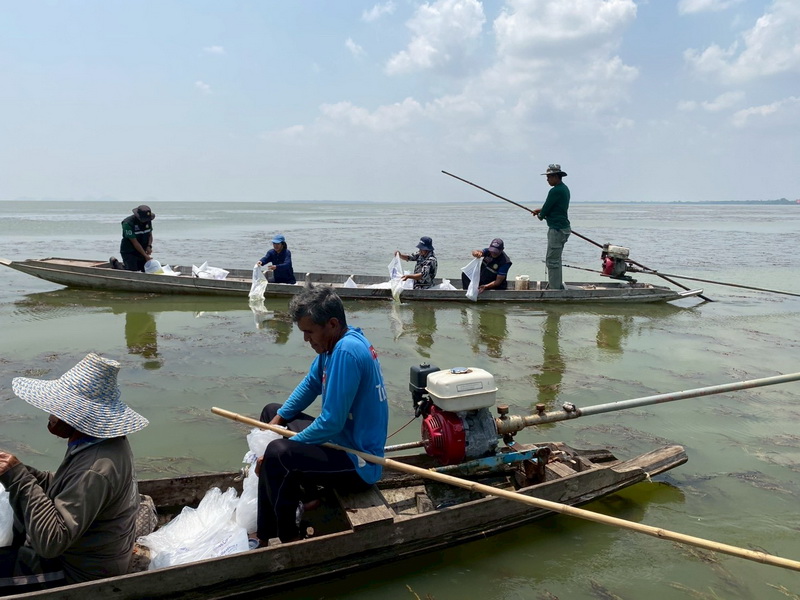 ร่วมปล่อยพันธุ์กุ้งก้ามกราม ลงสู่ทะเลสาบสงขลา อ.เขาชัยสน จ.พัทลุง