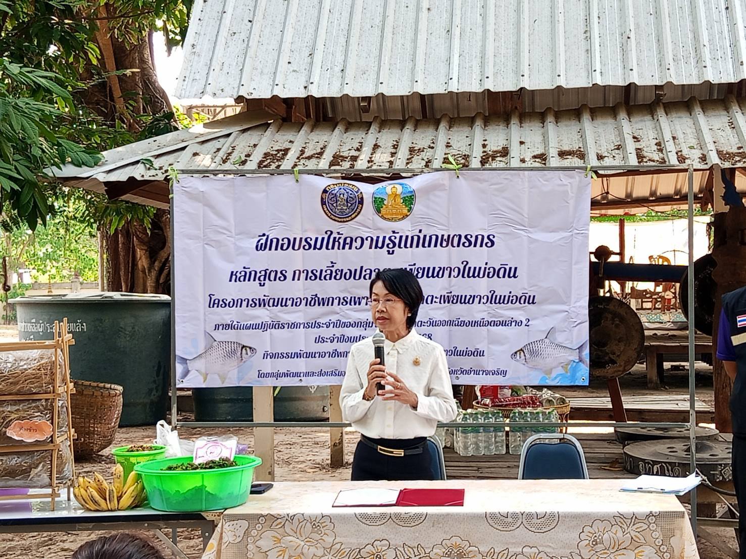 สำนักงานประมงจังหวัดอำนาจเจริญดำเนินการอบรมโครงการพัฒนาอาชีพการเพาะเลี้ยงปลาตะเพียนขาวในบ่อดิน หลักสูตร การเลี้ยงปลาตะเพียนขาวในบ่อดิน ภายใต้แผนปฏิบัติราชการประจำปีของกลุ่มจังหวัดภาคตะวันออกเฉียงเหนือตอนล่าง 2 ประจำปีงบประมาณ พ.ศ. 2568