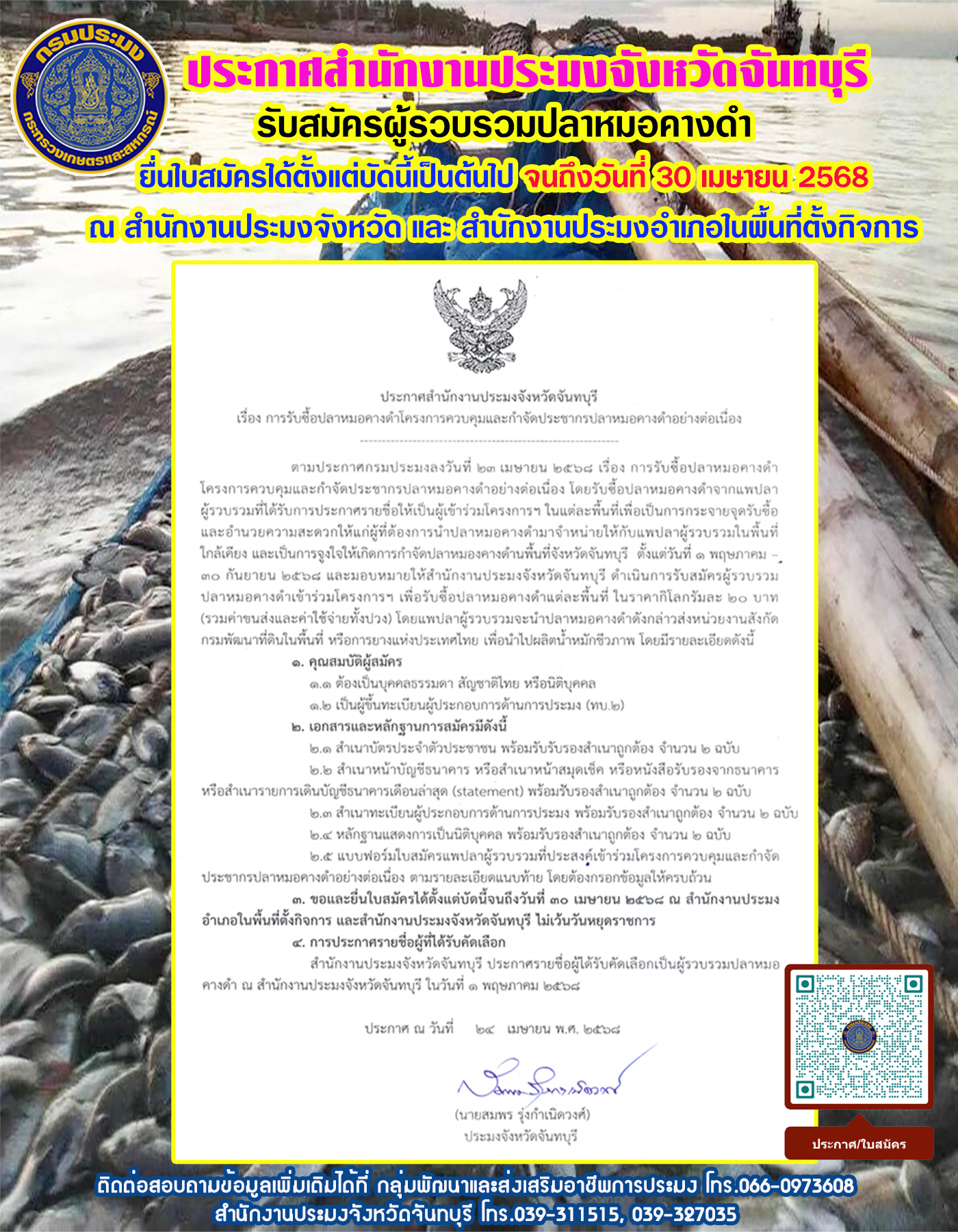 ประกาศรับสมัครผู้รวบรวมปลาหมอคางดำ จังหวัดจันทบุรี ตั้งแต่บัดนี้เป็นต้นไป จนถึง 30 เมษายน 2568