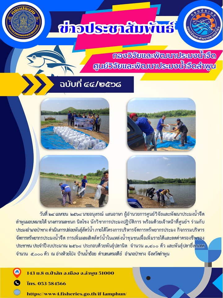 วันที่ 24 เมษายน  2568 นายอนุสรณ์ แสนอาษา ผู้อำนวยการศูนย์วิจัยและพัฒนาประมงน้ำจืดลำพูนมอบหมายให้ นางสาวกมลชนก นิลโขง นักวิชาการประมงปฏิบัติการ พร้อมด้วยเจ้าหน้าที่ศูนย์ฯ ร่วมกับประมงอำเภอป่าซาง ดำเนินการปล่อยพันธุ์สัตว์น้ำ ภายใต้โครงการบริหารจัดการทรัพยากรประมง..คลิก