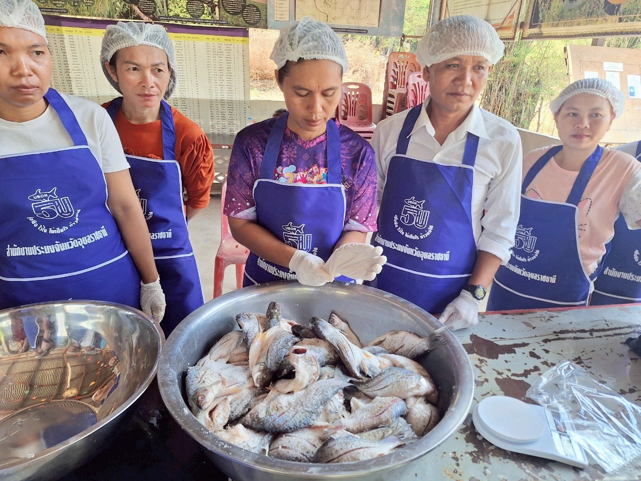 ประมงอุบลฯ จัดกิจกรรมอบรมภายใต้ โครงการส่งเสริมพัฒนาเกษตรกร สถาบันเกษตรกร และวิสาหกิจชุมชนเป็นผู้ประกอบการธุรกิจสมัยใหม่อย่างครบวงจร กิจกรรม การส่งเสริมและพัฒนาเกษตรกร เพื่อเพิ่มมูลค่าผลผลิตสินค้าประมงจากภูมิปัญญาท้องถิ่นในพื้นที่จังหวัดอุบลราชธานี งบพัฒนาจังหวัด ปี 2568..คลิก