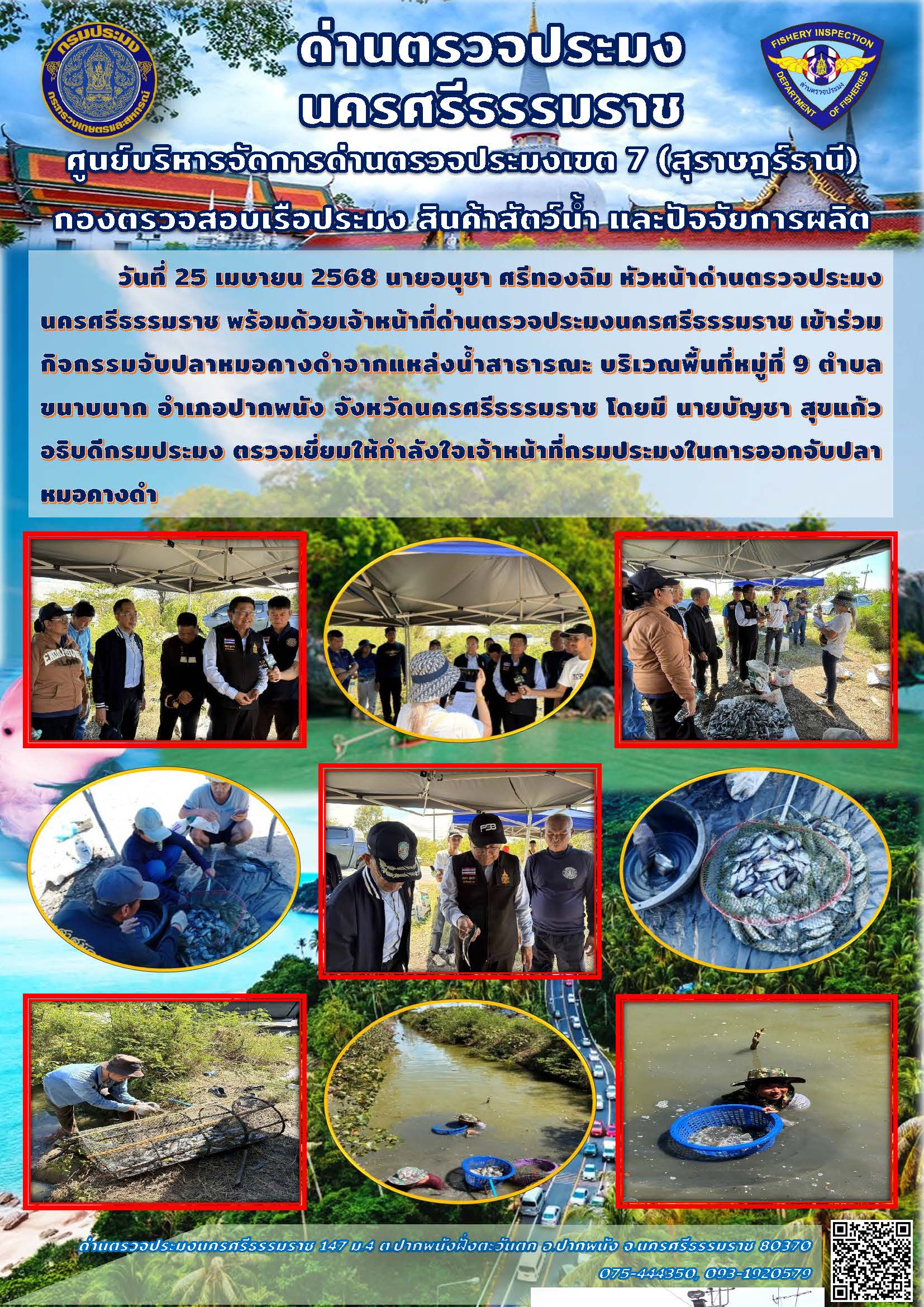 วันที่ 25 เมษายน 2568 นายอนุชา ศรีทองฉิม หัวหน้าด่านตรวจประมงนครศรีธรรมราช พร้อมด้วยเจ้าหน้าที่ด่านตรวจประมงนครศรีธรรมราช เข้าร่วมกิจกรรมจับปลาหมอคางดำจากแหล่งน้ำสาธารณะ..คลิก