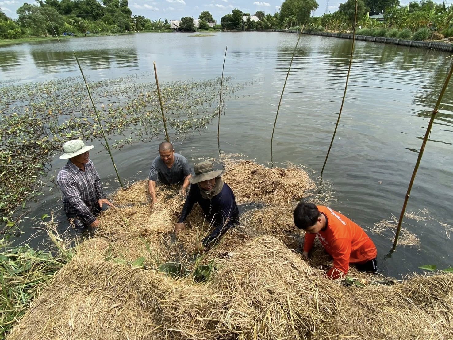 สำนักงานประมงพื้นที่กรุงเทพมหานคร ลงพื้นที่ประชาสัมพันธ์โครงการระบบส่งเสริมเกษตรแบบแปลงใหญ่ และร่วมกิจกรรมส่งเสริมการใช้วัสดุเหลือใช้จากการเกษตร