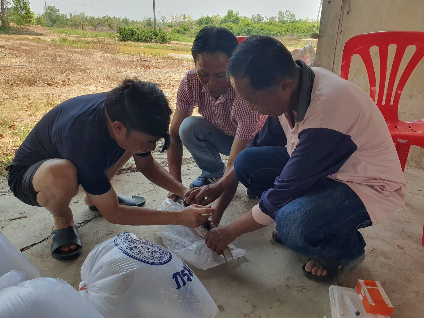 โครงการการขยายผลการดำเนินงานประมงโรงเรียนตามพระราชดำริสู่ชุมชน