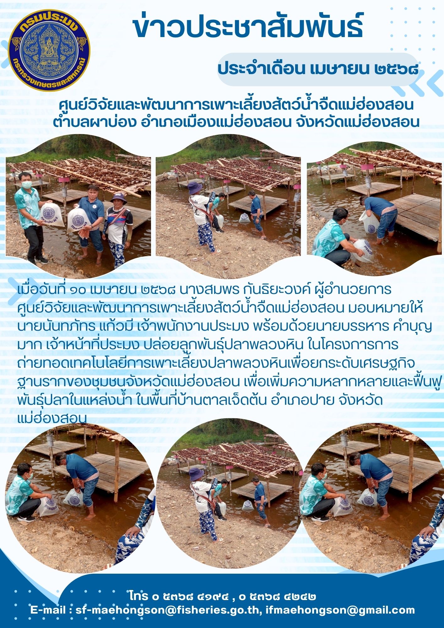 ปล่อยลูกพันธุ์ปลาพลวงหิน ในโครงการการถ่ายทอดเทคโนโลยีการเพาะเลี้ยงปลาพลวงหินเพื่อยกระดับเศรษฐกิจฐานรากของชุมชนจังหวัดแม่ฮ่องสอน