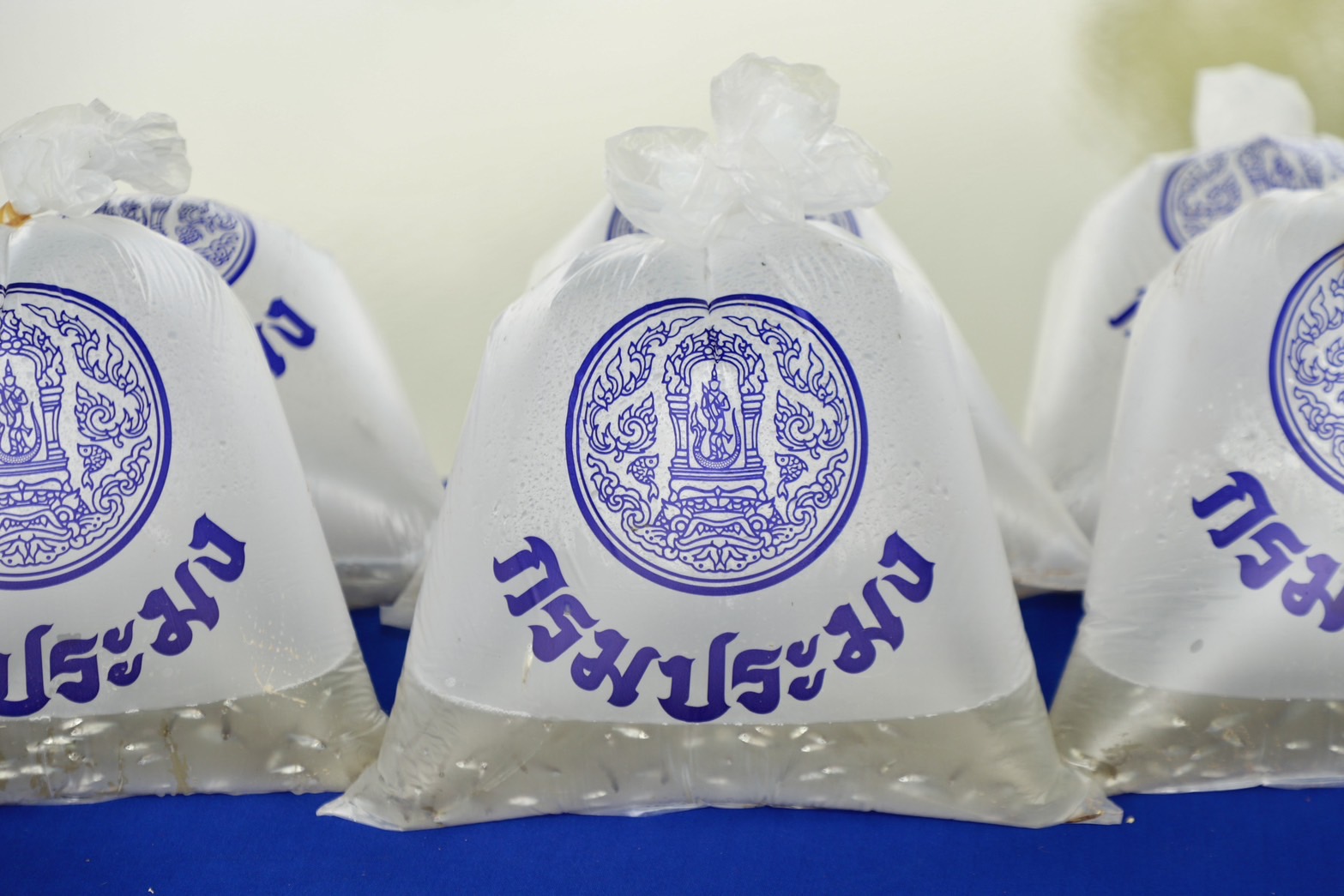 กิจกรรมปล่อยพันธุ์สัตว์น้ำ เนื่องในวันสำคัญของชาติไทย วันปฐมบรมราชาภิเษกพระบาทสมเด็จพระเจ้าอยู่หัว รัชกาลที่10 วันฉัตรมงคล (4พฤษภาคม2568)