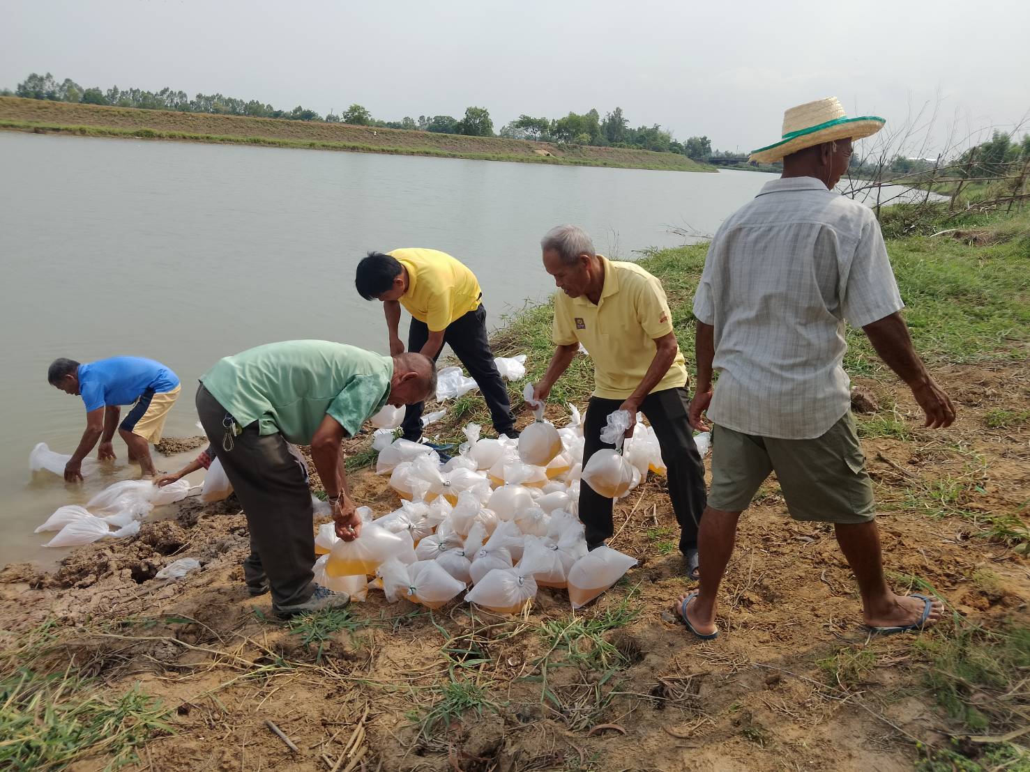 เพิ่มผลผลิตสัตว์น้ำในแหล่งน้ำสาธารณะ..คลิก