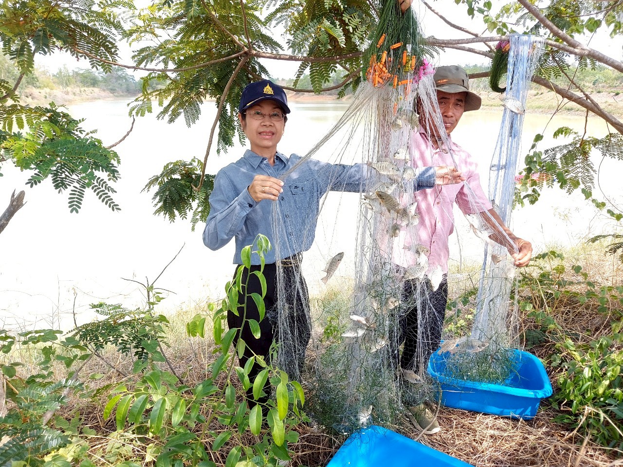 ประมงจังหวัดอำนาจเจริญ  ร่วมประเมินผลการปล่อยพันธุ์สัตว์น้ำด้วยวิธี (Catch Per Unit of Effort ; CPUE) และปล่อยพันธุ์ปลาบึก โครงการบริหารจัดการทรัพยากรประมง กิจกรรมบริหารจัดการทรัพยากรประมงน้ำจืด การเพิ่มผลผลิตสัตว์น้ำในแหล่งน้ำชุมชนเพื่อเพิ่มรายได้และลดค่าครองชีพ ของประชาชน ประจำปีงบประมาณ พ.ศ.2568