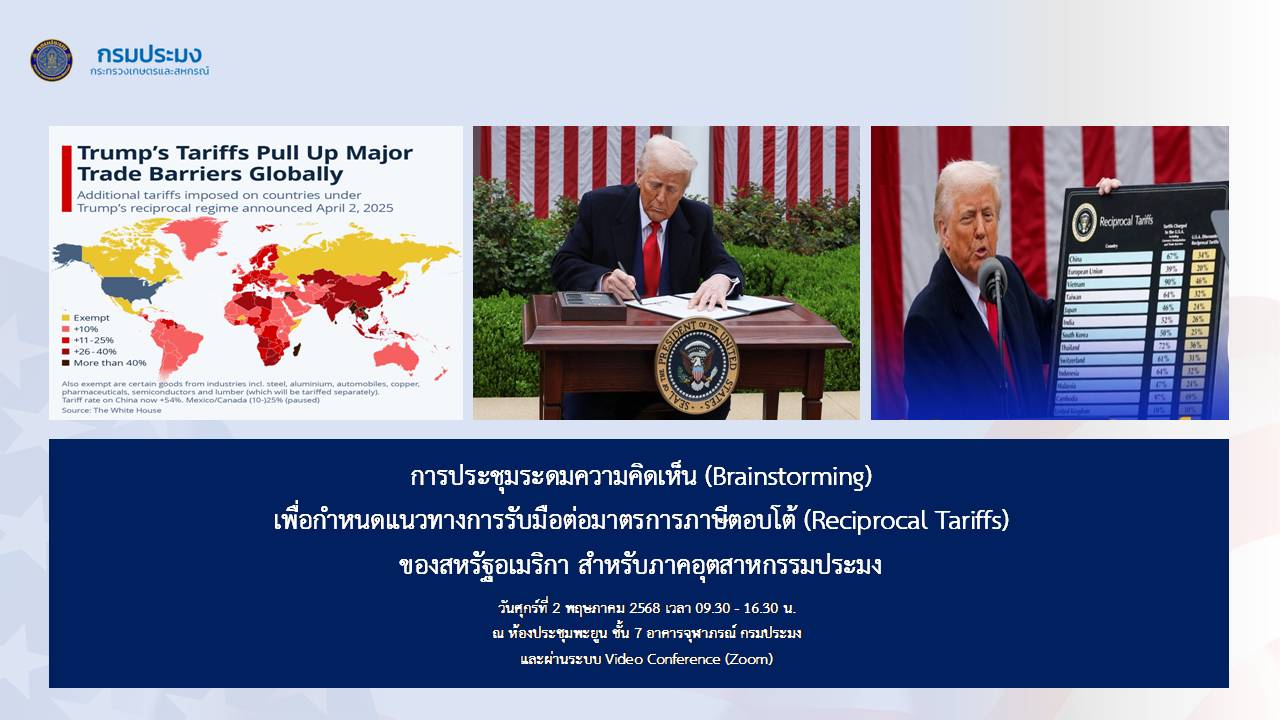 ดาวน์โหลดเอกสาร การประชุม (Brainstorming) 